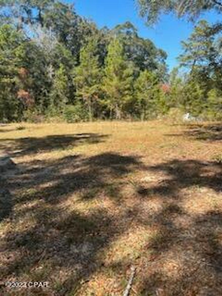 Rare find in Washington county with highway frontage and 30 minutes to beach!  This 1.28 acre parcel has a septic tank and power pole.  Formerly had a mobile home on the property.  There is no well.  Would make a good site for mobile home or house.  There are no restrictions according to seller.  Zoning could possibly be changed to commercial since this parcel fronts 4 lane highway 79.  Call on this one today!