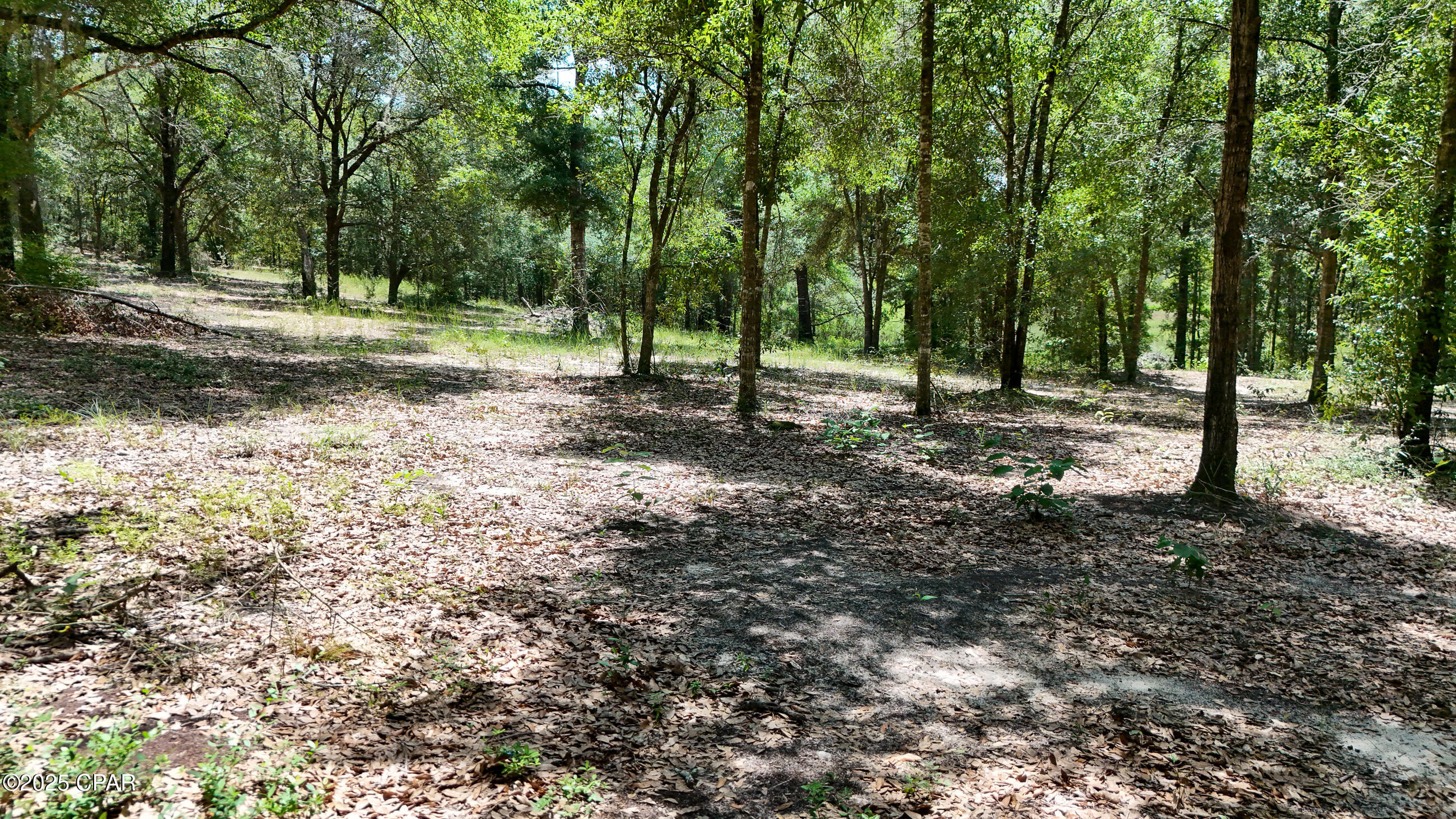 Porter Pond - Residential