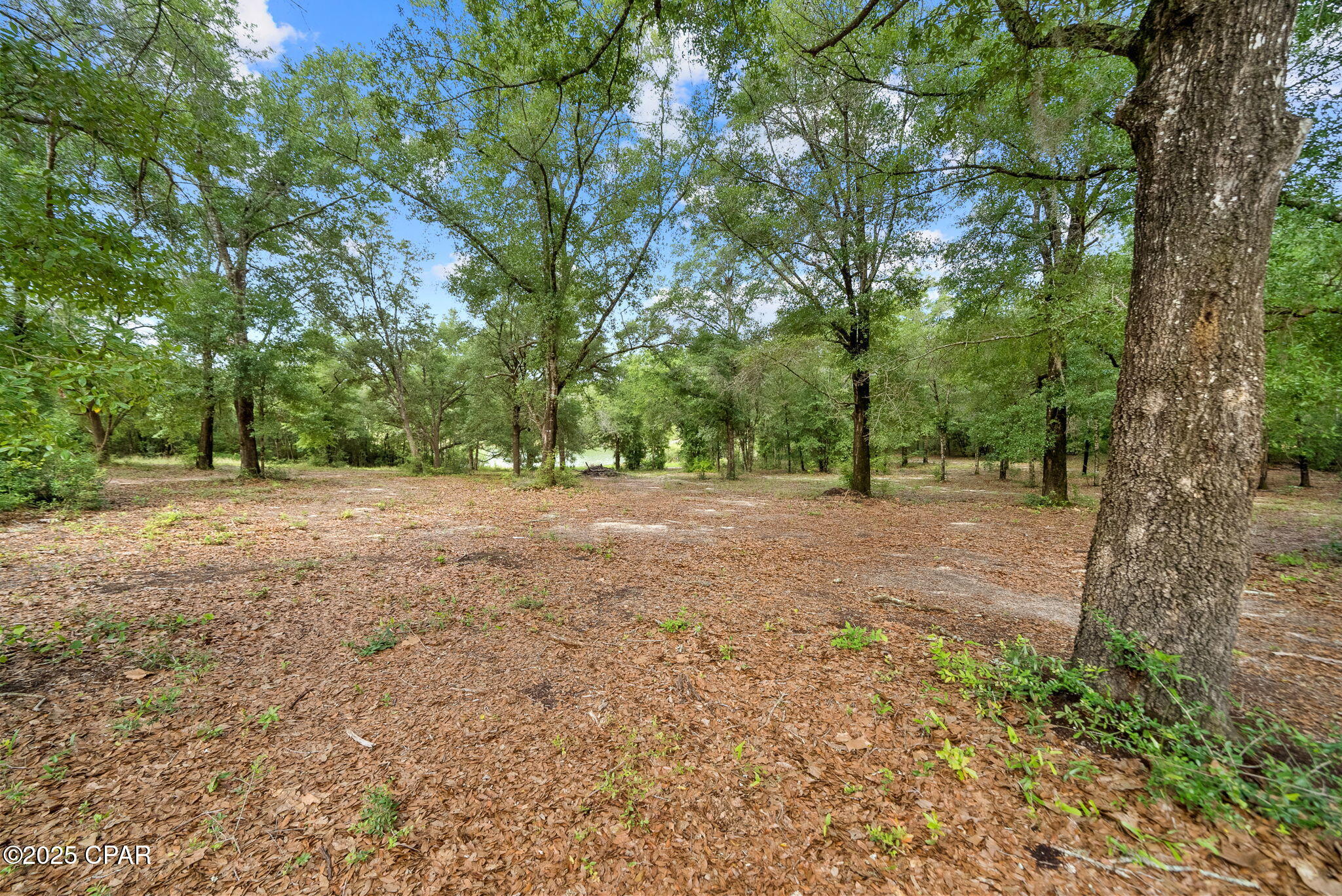 Porter Pond - Residential