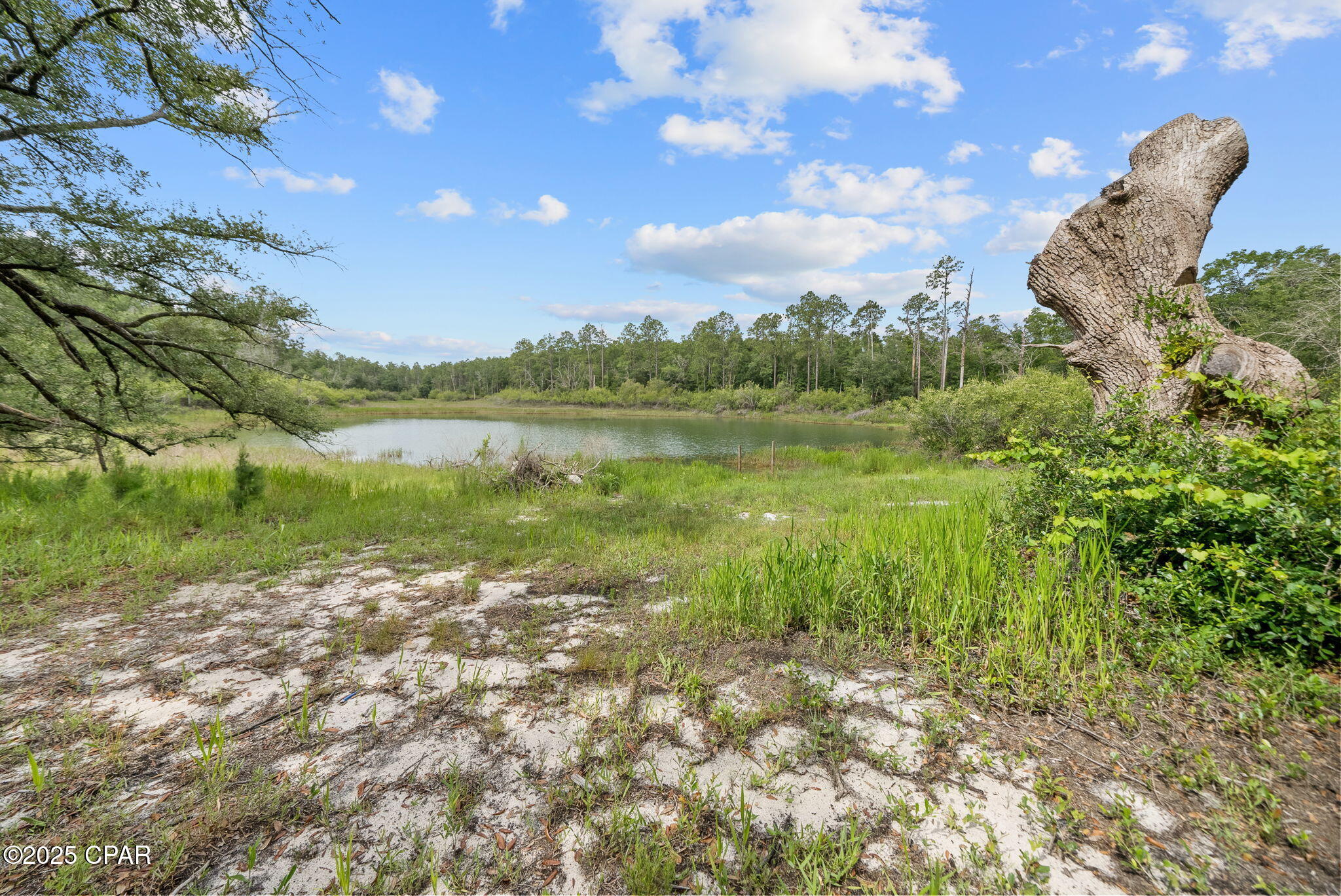 Porter Pond - Residential
