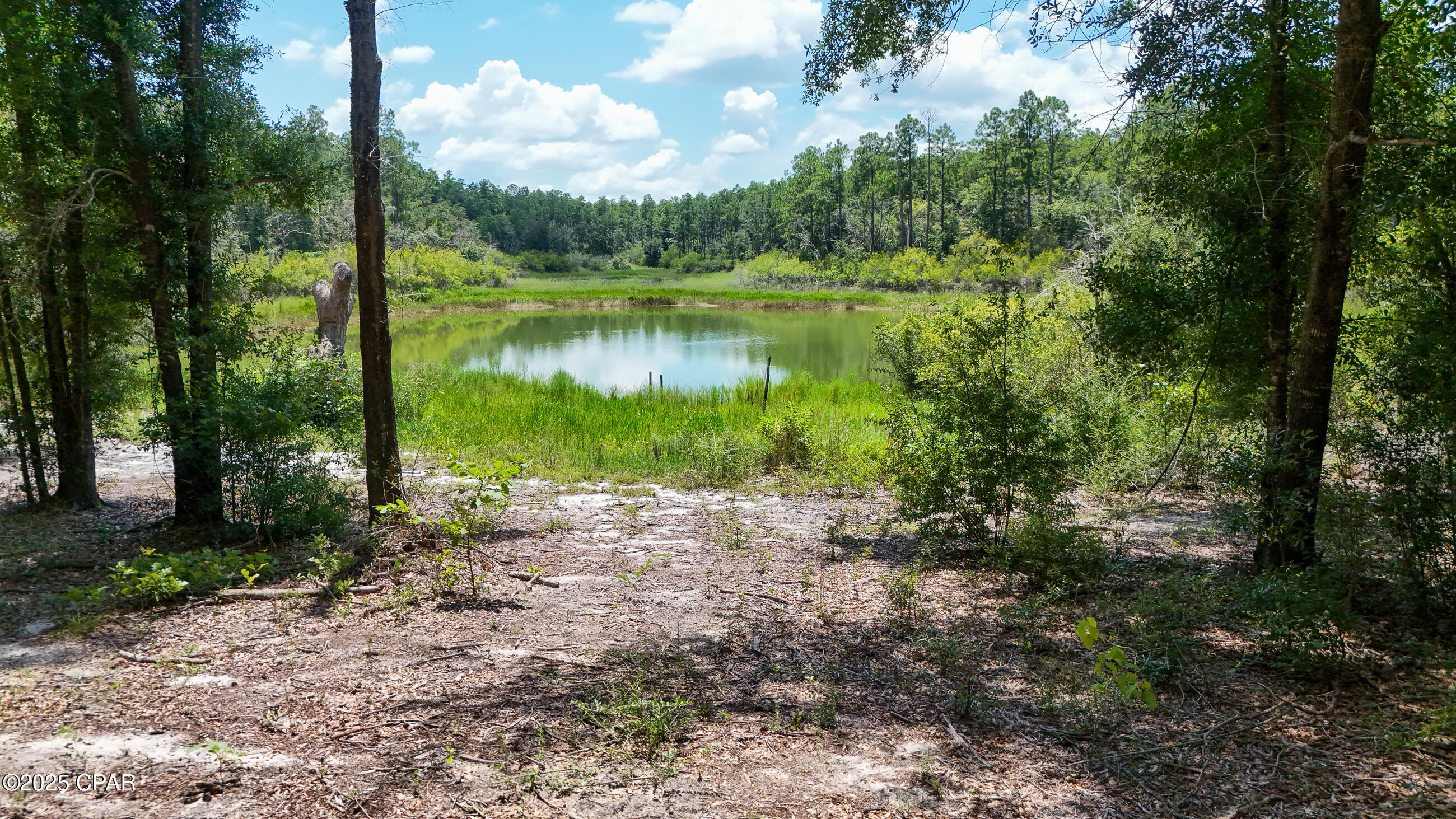 Porter Pond - Residential