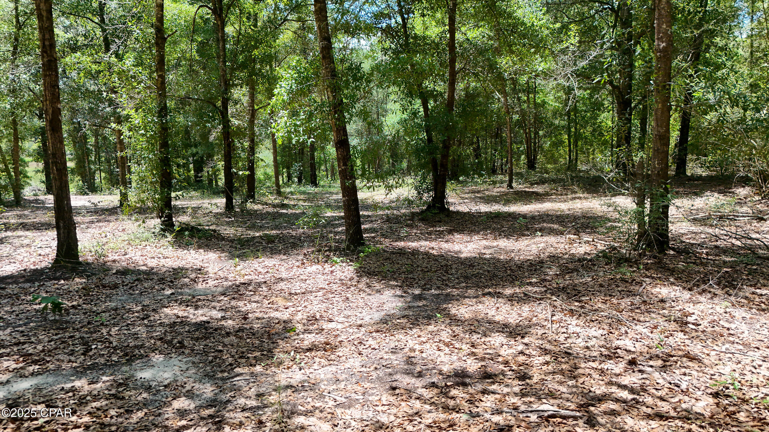 Porter Pond - Residential