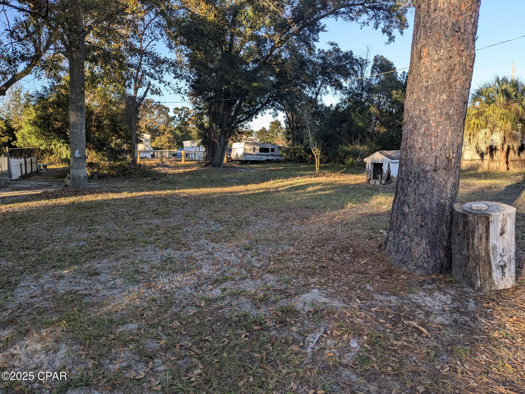 Springdale Forest - Land