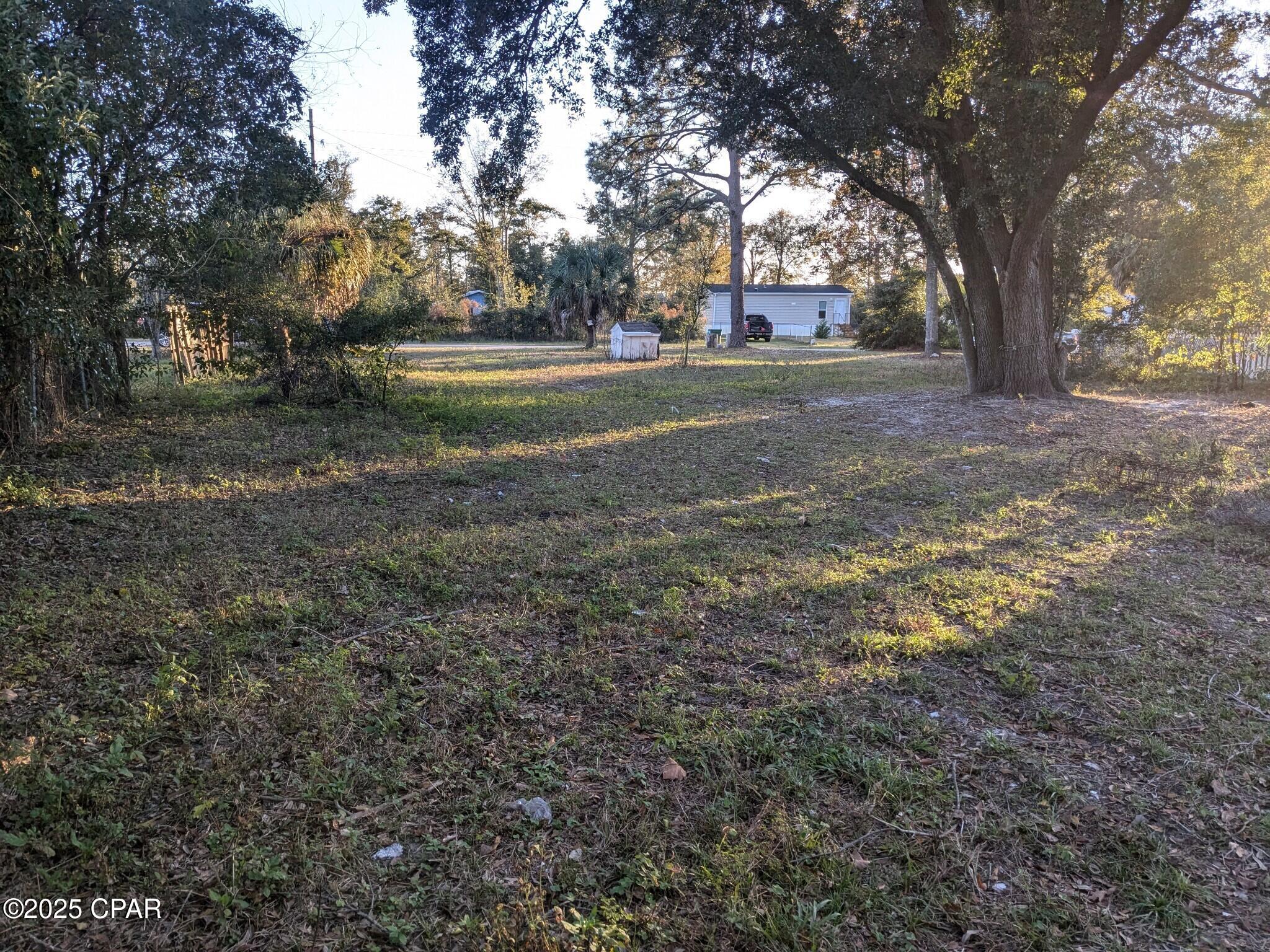 Springdale Forest - Land