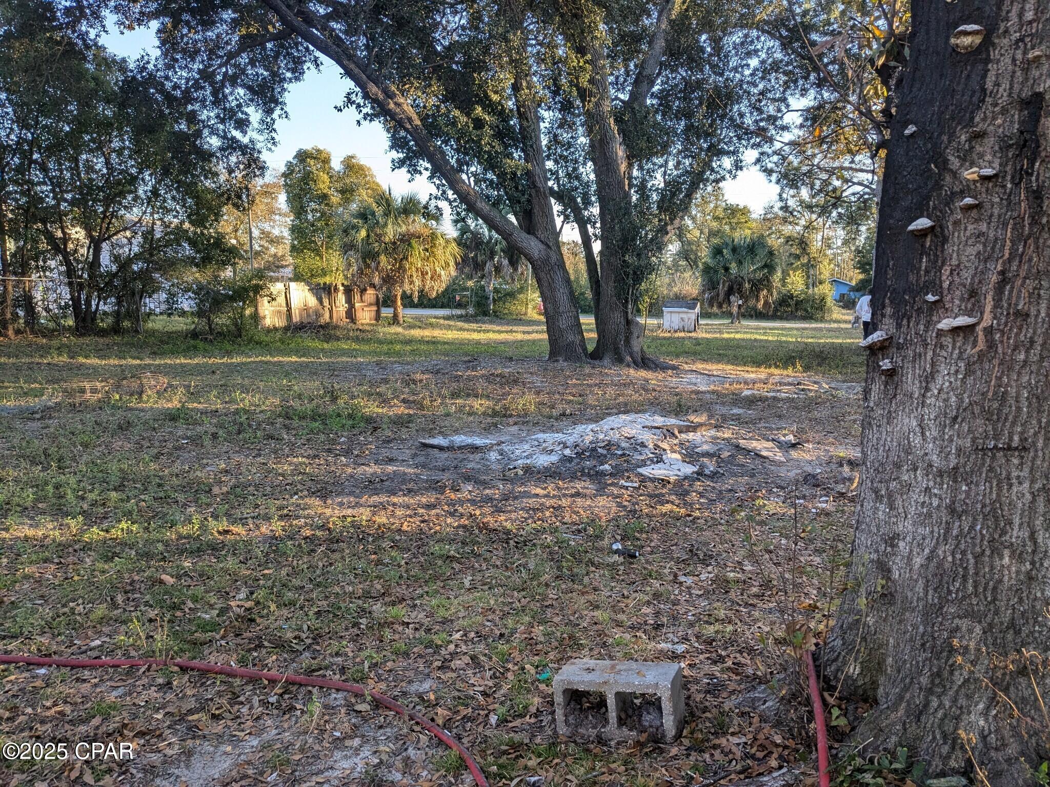 Springdale Forest - Land