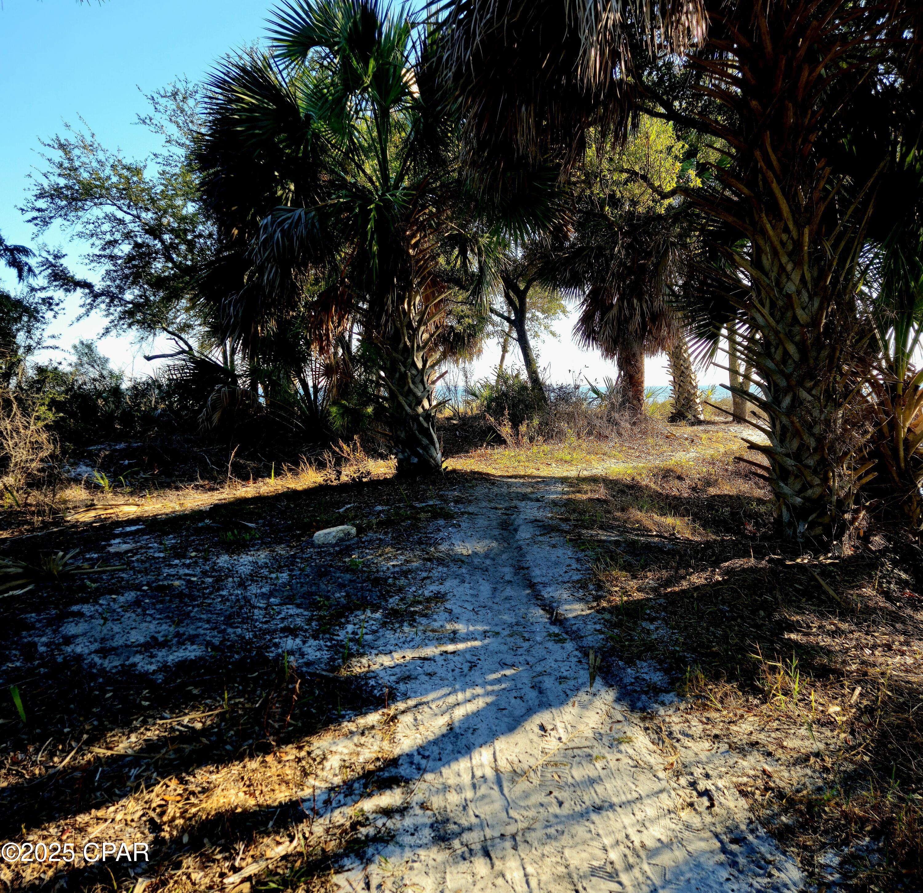 Old Town Plat - Residential