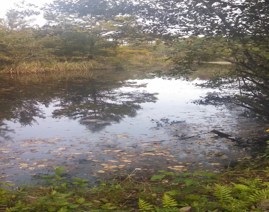 Brick 4BR/3BA WATERFRONT home with near 2 acres on Bayou George Creek. (Navigable under Hwy 231 Bayou George Bridge). Beautiful contemporary kitchen remodel with like new solid wood Kraft-maid cabinets, quartz counter tops, and stainless steel appliances. Updated baths (3 BATHS!) Hardwood floors, fireplace, attached mother-in-law suite in total square footage. Mother-in-law suite can be separate Master BR split plan. Workshop, storage building, back yard fenced...Did we mention ''WATERFRONT''...?! Site is near two acres back half in Flood Zone AE - Front half (and house location)is Flood Zone X - Flood insurance may not be required

but available cheaper.