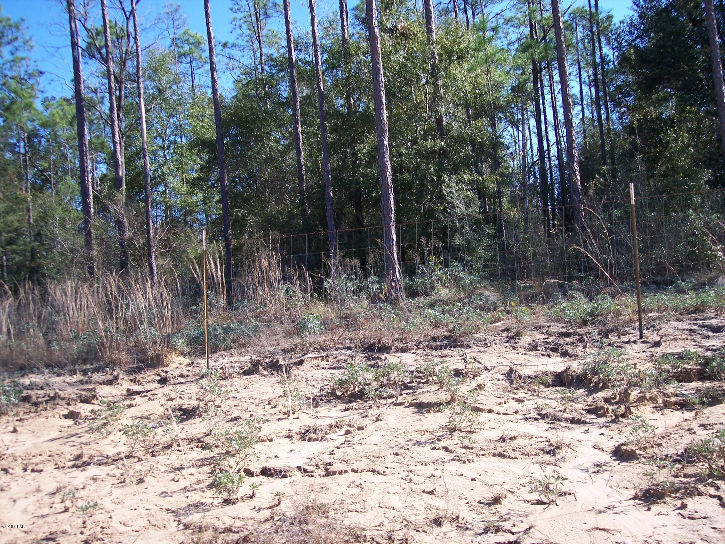 Porter Lake Retreat II - Land