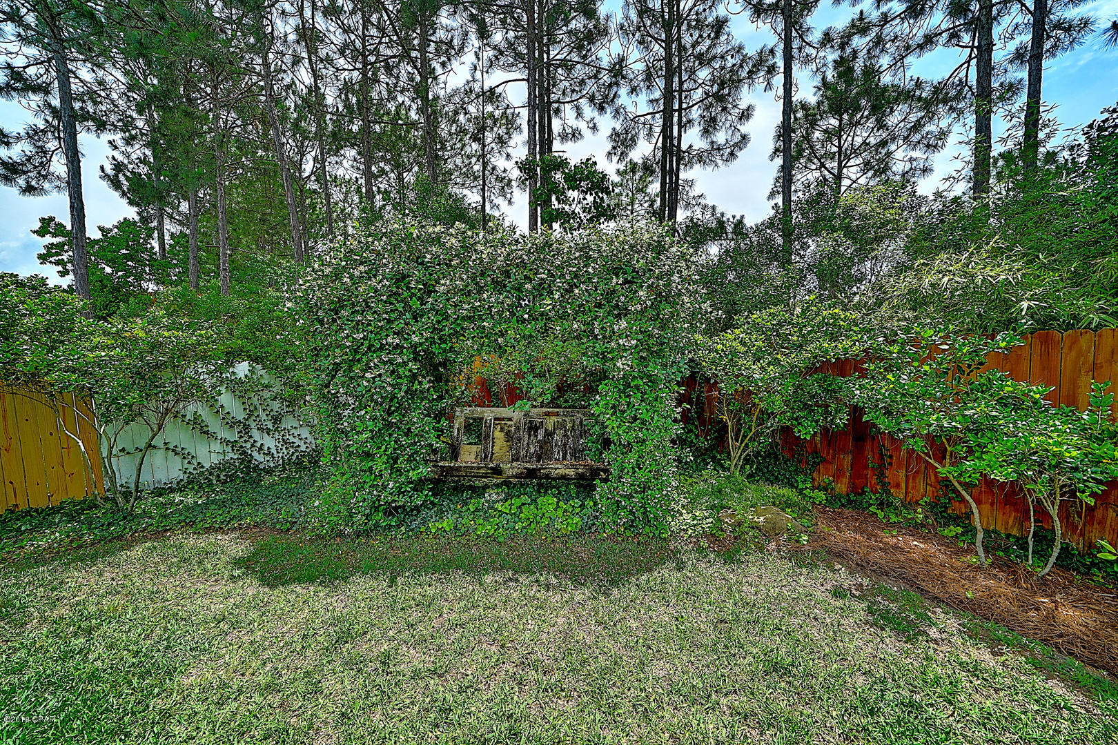 Palmetto Trace - Residential