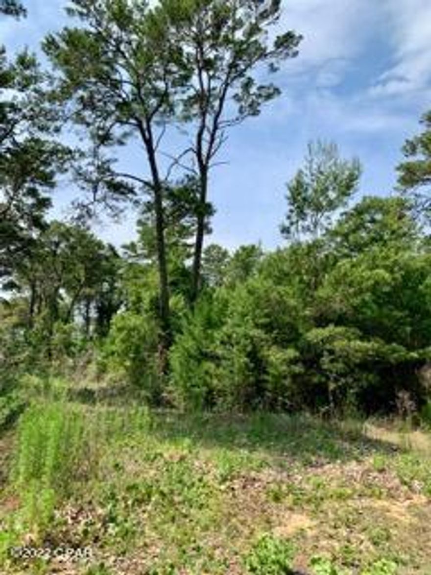 This private1/2 acre residential lot is located on the Eastern side of Walton County near Grand Pointe Subdivision. Close to Rosemary Beach and within 1/2 mile to Gulf Beaches, multiple lakes, and Gulf Access. NO HOA! NO BUILDOUT TIMES!