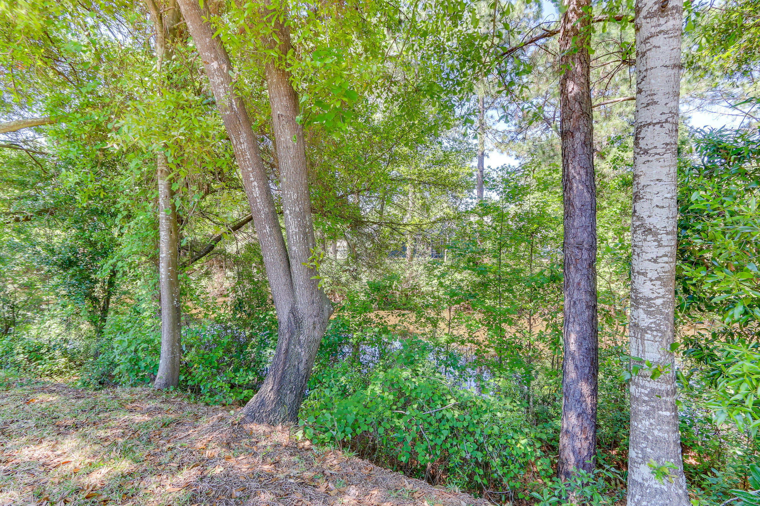 Venetian Villa 1st Add Replat - Residential