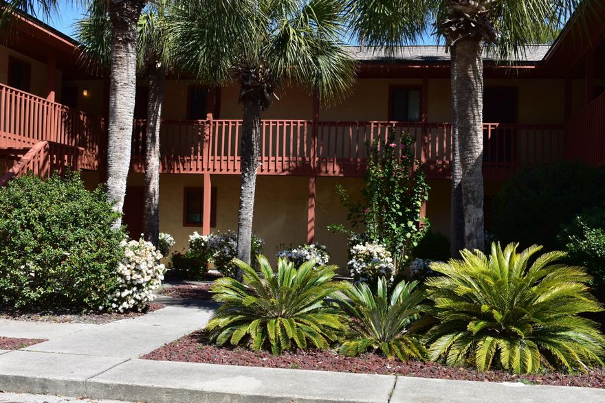 Second Floor EFFICENCY CONDO IN PIRATE'S COVE INLET WALKING DISTANCE TO WATER.

INGROUND POOL.WONDERFUL VACATION/GETAWAY​​‌​​​​‌​‌​​​​‌​​‌​​​​‌‌ SPOT.