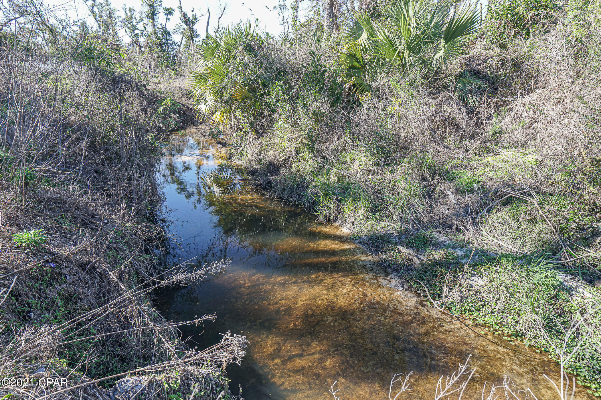 Pine View - Residential