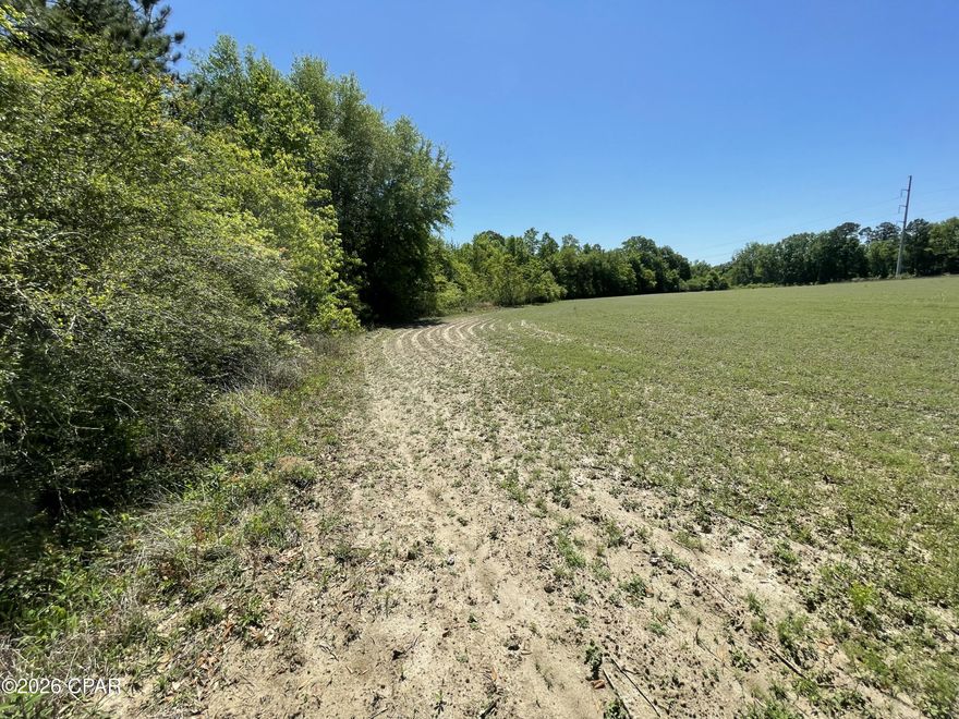 If you've been looking for beautiful and unrestricted land with space to build, grow, and enjoy the outdoors, this 21.71± acre property in Jackson County, Florida offers just that. Located just 1.3 miles from Hwy 273, the property features dual access from both Peanut Road and Sharon Road. With approximately 1,214 feet of paved frontage along Peanut Road and 950 feet along Sharon Road (dirt), you have flexibility in how you design your entrance, fencing, and overall layout.
About 14.5 acres are cleared pasture, giving you open views and immediate usability. Whether you envision horses grazing, a few head of cattle, or simply a wide backyard for family gatherings, the pasture is ready. The remaining acreage is a natural mix of timberland, adding shade, privacy, and that unmistakable North Florida character. The property is mostly high and dry with multiple ideal homesite locations, allowing you to build with confidence. Parcels this size -- especially those that offer both open pasture and private building space -- are becoming increasingly hard to find.
A naturally fed creek winds through the land, bringing movement and life to the landscape. It serves as a natural water source for wildlife, including whitetail deer and turkeys, and adds a peaceful backdrop to everyday life. The combination of farmland and woods creates flexibility -- ideal for a small farm, accommodating horses, or simply enjoying space to spread out and breathe.
Although you experience a quiet country setting here, you're just 1.3 miles from Hwy 273 and only 4 miles from Graceville, keeping nearby towns, schools, shopping, and everyday services within easy reach. It gives you room to spread out and enjoy your privacy, without feeling too far from the things you need day to day.
This property is first and foremost a place to build a home and put down roots. It offers room to grow, room to work, and room to enjoy the outdoors. At the same time, well-located acreage with pasture, timber, and road frontage continues to hold steady long-term appeal in North Florida. Whether you're ready to build now or planning ahead, this 21.71 +/- acre tract offers a welcoming foundation for both lifestyle and long-term land ownership.  Contact us today for a private showing of this beautiful property!
Key Features
• 1.3 miles to Hwy 273
• 4 miles to Graceville
• Dual access from Peanut Road (paved) & Sharon Road (dirt)
• 14.5± acres cleared pasture
• Naturally fed creek with abundant wildlife
• Predominately high and dry with multiple homesite options
• Suitable for horses or small-scale farming