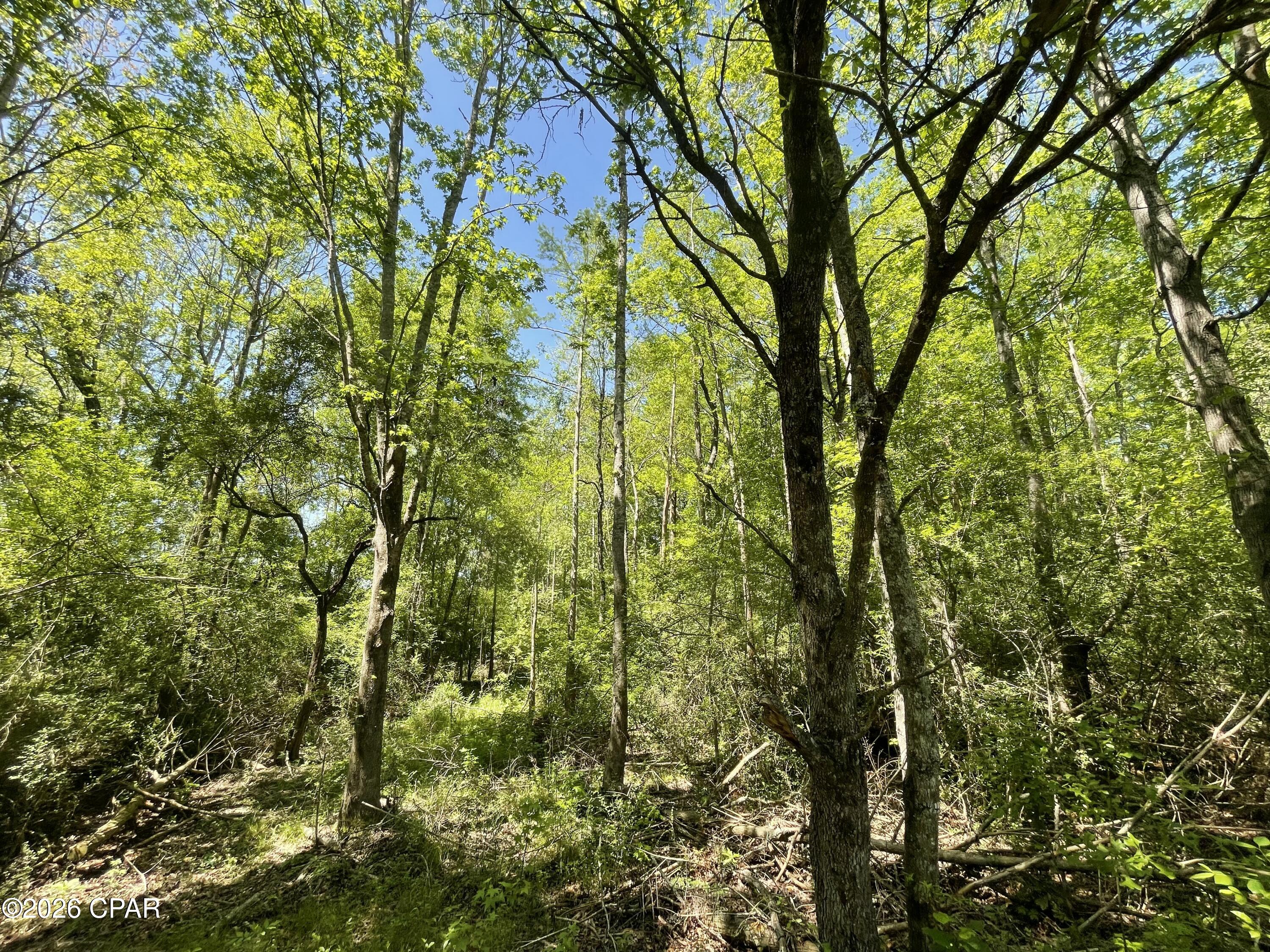 [No Recorded Subdiv] - Land