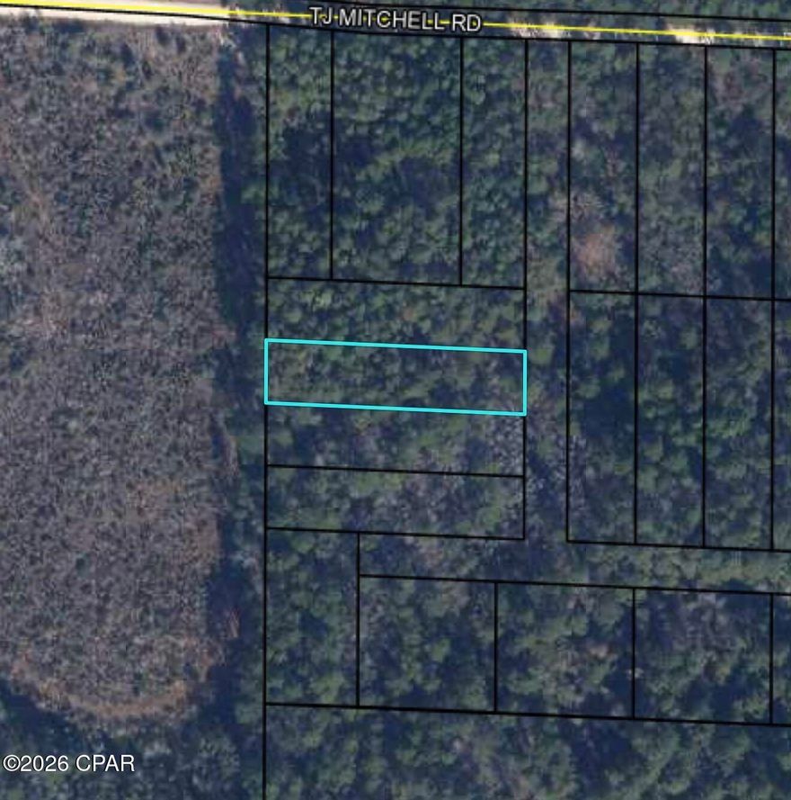 Vacant Land with Country Vibes Near Town

This vacant parcel of approximately half an acre is located on TJ Mitchell Road and offers a country atmosphere while remaining close to town conveniences. The property provides open space and flexibility for future plans, all while enjoying a rural setting.

Situated just a little over an hour from Panama City Beach, Florida.

Contact your Realtor today to schedule a showing.

Buyer and/or Buyer's Agent to satisfy themselves to all pertinent information regarding the property.