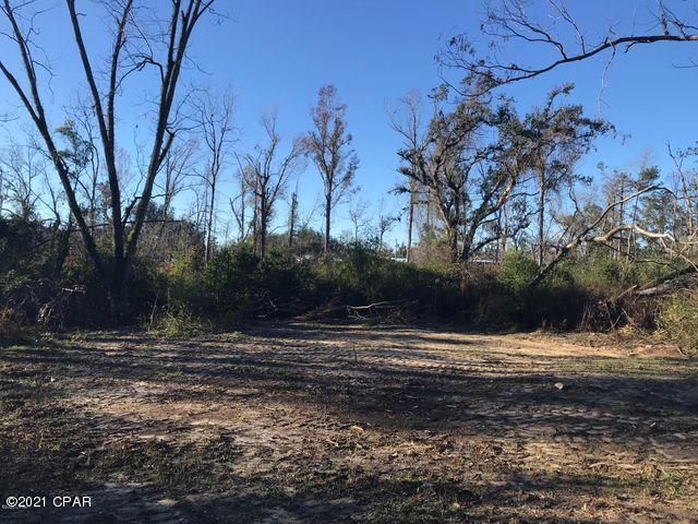 Jackson Gardens - Land