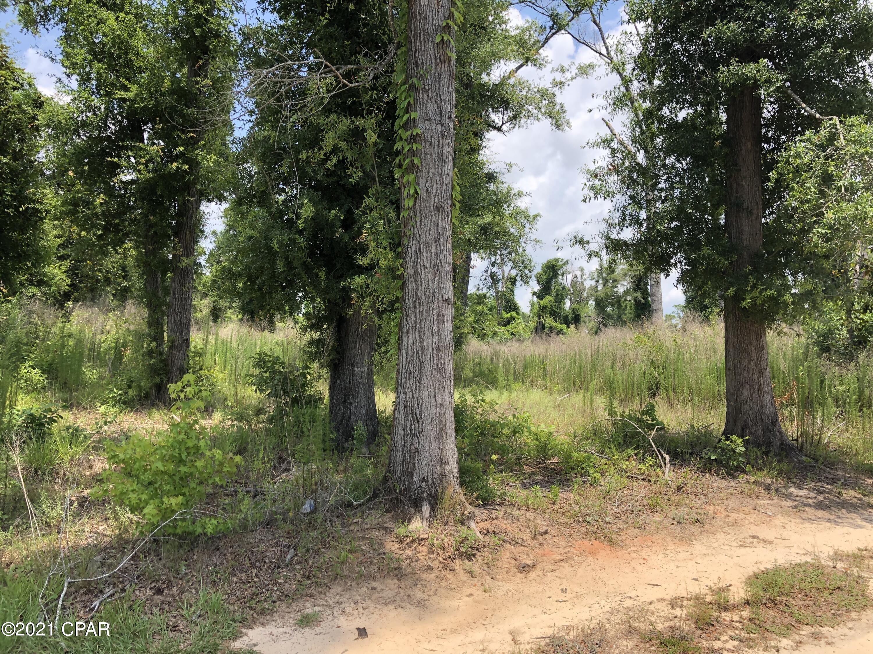 Indian Springs Golf Course - Land