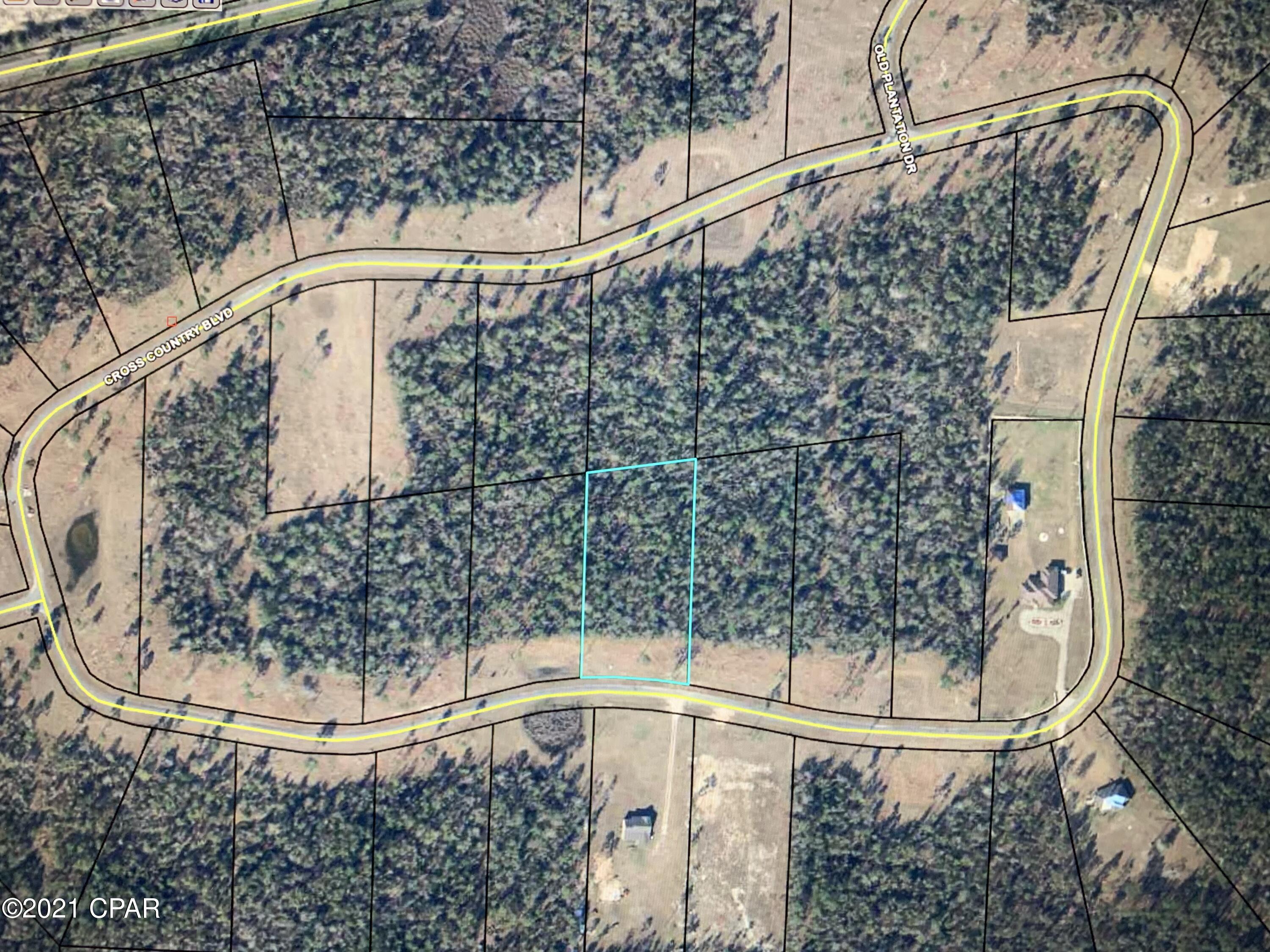 Blue Springs Plantation - Land
