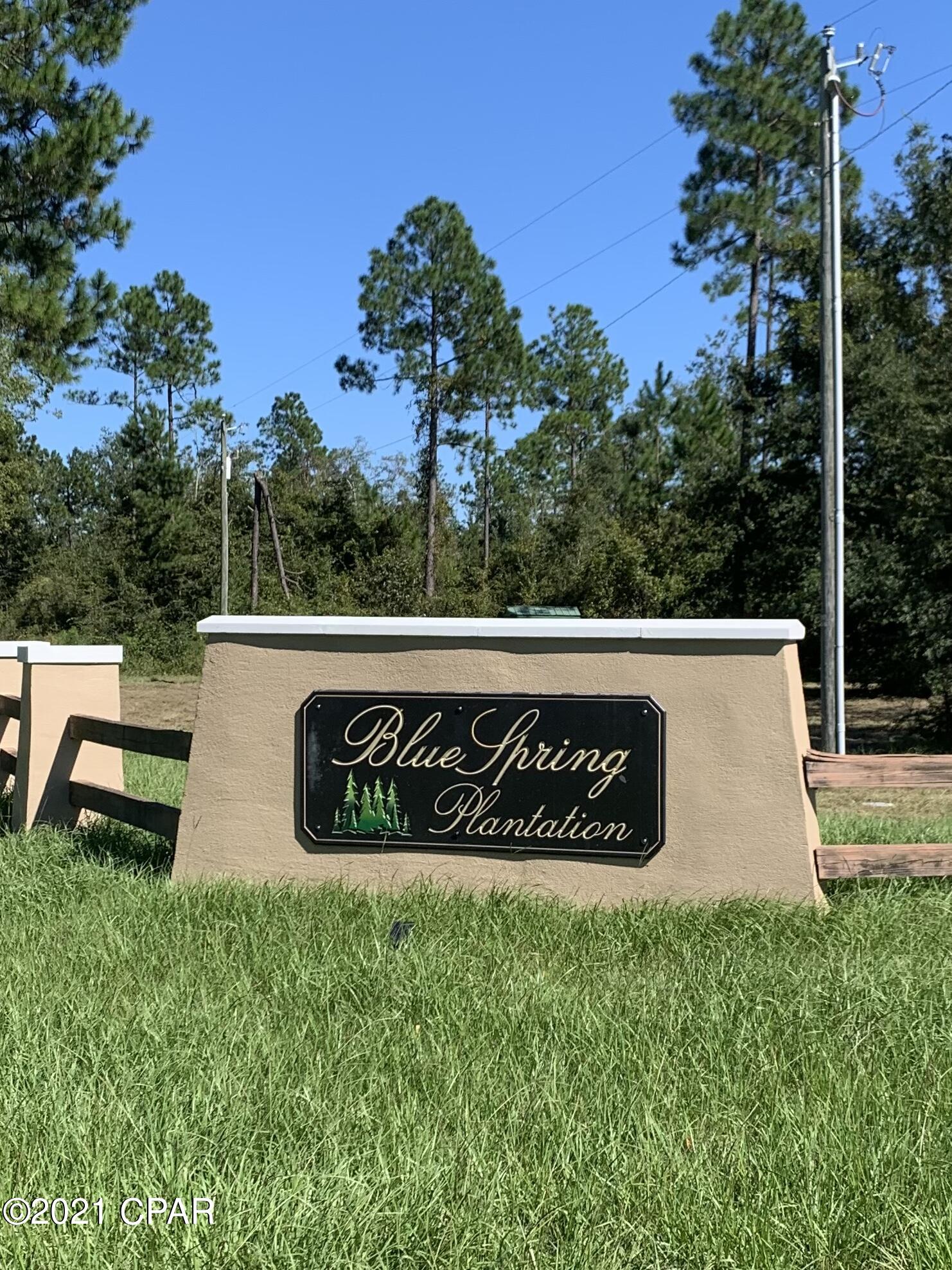 Blue Springs Plantation - Land