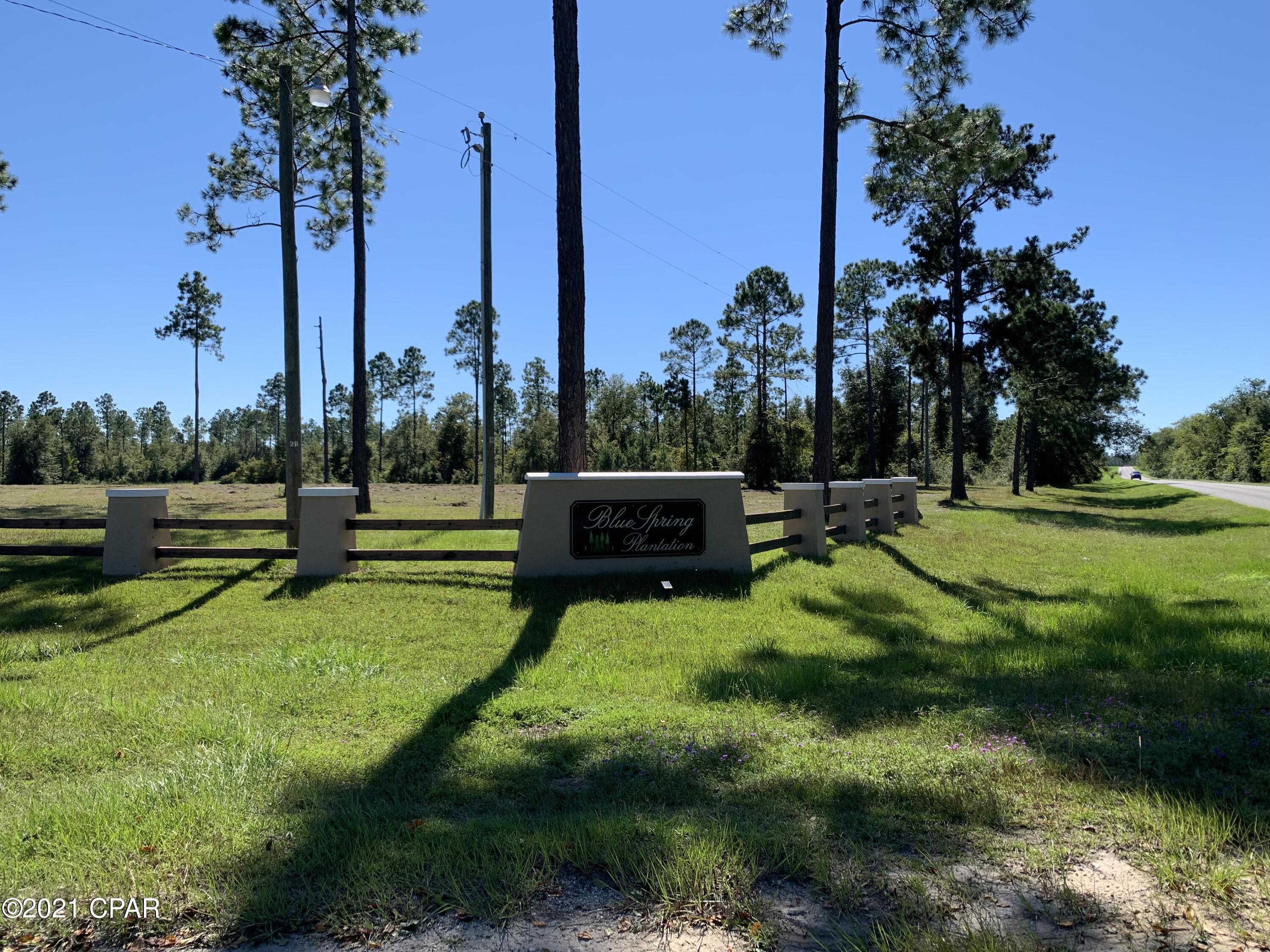 Blue Springs Plantation - Land
