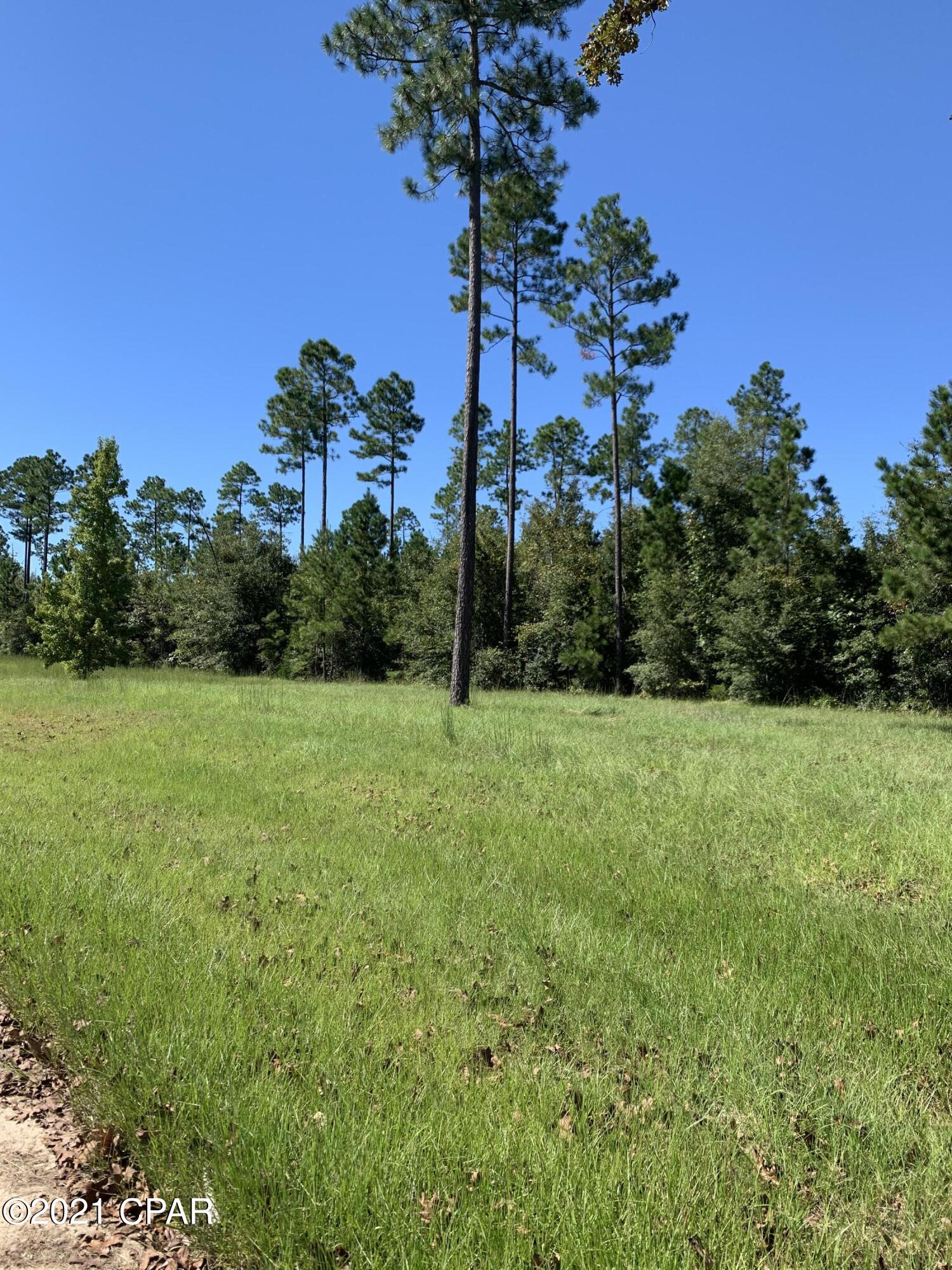 Blue Springs Plantation - Land