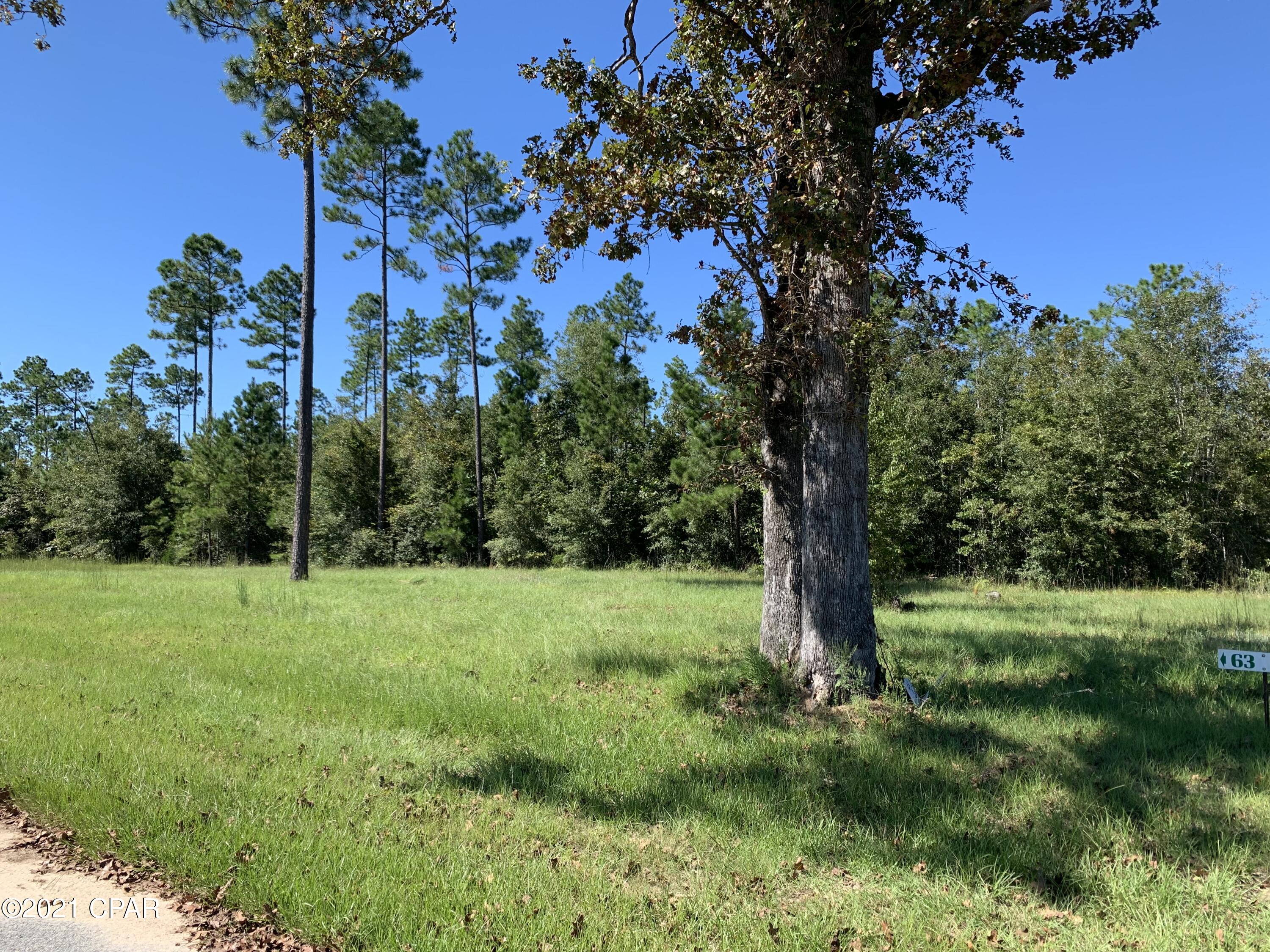 Blue Springs Plantation - Land