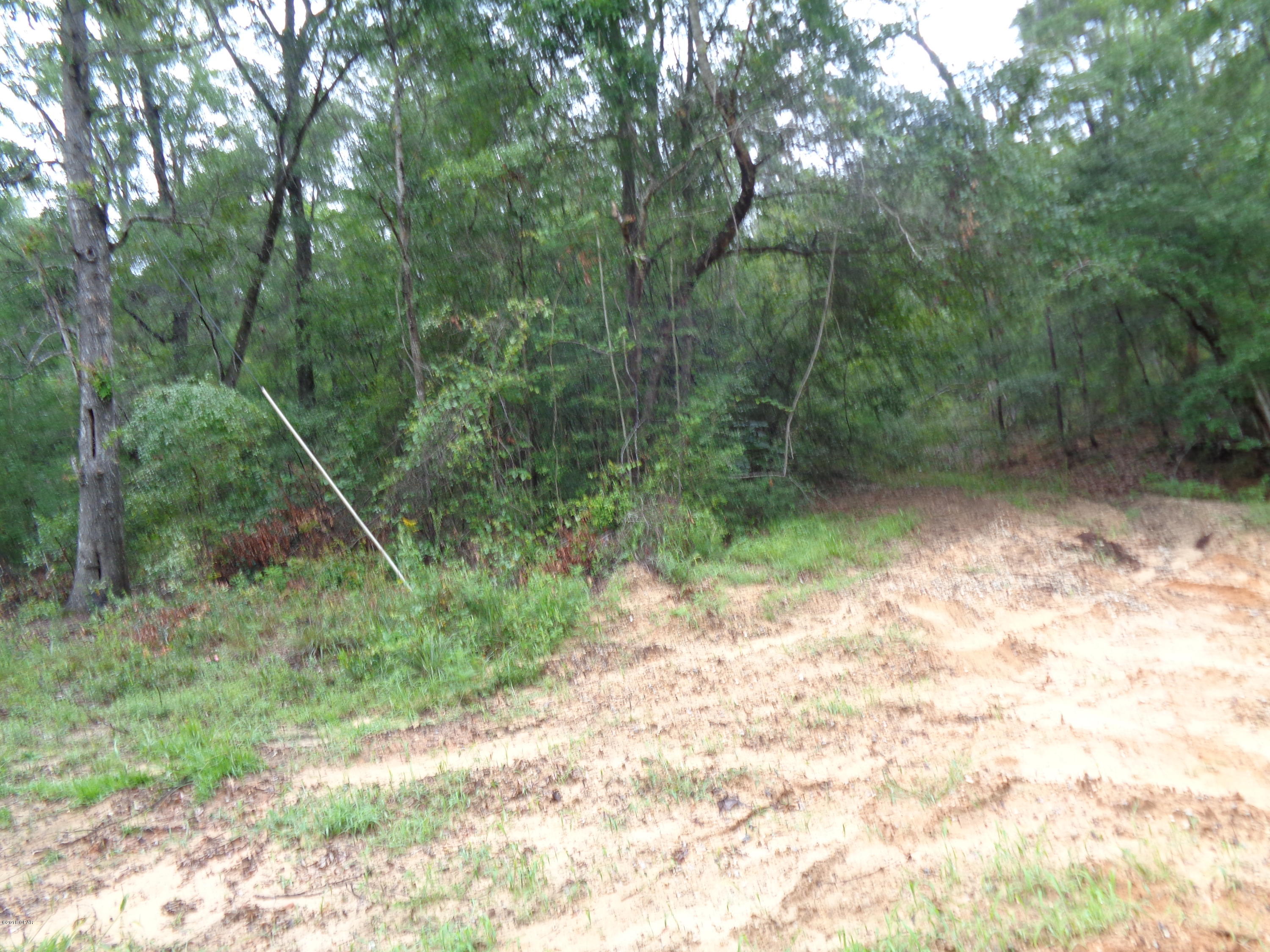 Steel Field Fish Camp - Land