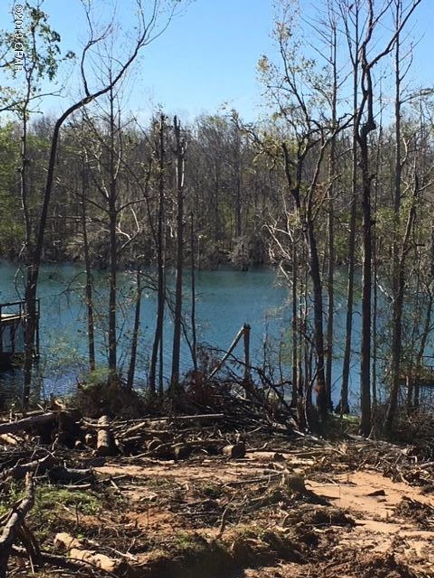 WATERFRONT lot on Beautiful Merrits Mill Pond located in Indian Springs Subdivision, a golf course community.  Approximately 95' on the water. Perfect spot to build your waterfront home on a quiet street with cul-de-sac just beyond the property. Plenty of trees for shade and native plants for nature lovers, but a little clearing and you could have a great view of the Mill Pond.



Deed restrictions include 1,200 sq ft min for single story homes or 1,500 sq ft min for two story homes. Setback restrictions are 75 ft from the road, 100 ft from the Millpond, & 10 ft from sides. Only one detached single family home may be erected, and no temporary structures allowed. Full set of restrictions available upon request.