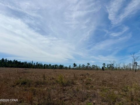 23 acres Davenport Road Marianna FL 32448