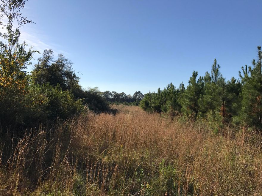 Beautiful 39 Acre parcel close to town!!!!  This property has all the amenities of being in the country, yet just a few minutes from downtown Marianna.  Once family farmed pasture and hard wood, this property would qualify as a good candidate for an organic designation! Plenty of room to build your perfect dream home or hunt the biggest game!  Make an appointment to walk this property and see all it has to offer today!