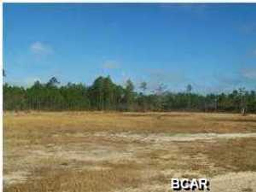 Bring your horses and build your dream home. Property is almost 4 acres (3.89) with very large man made pond. Property is really grown up, lots and lots of small pine trees, easy to clear. Listing agent is related to the seller
