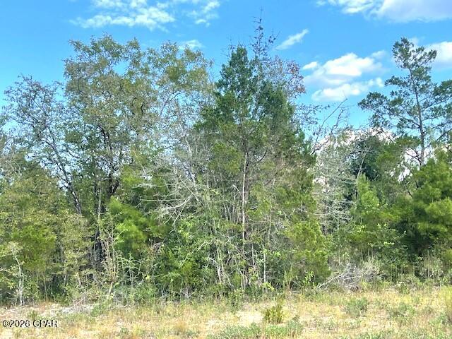 Compass Lake Hills Unit 2 - Land