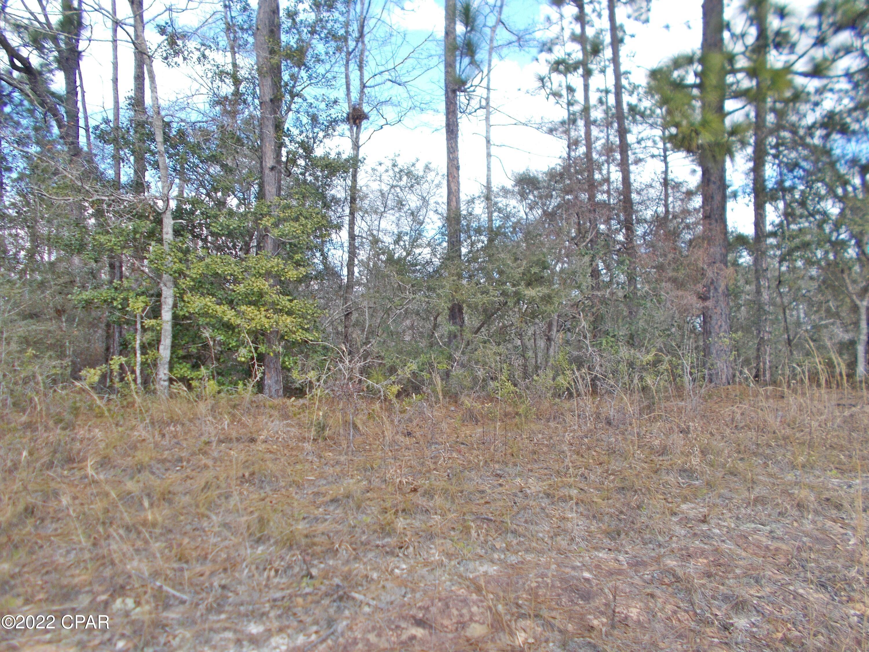 Compass Lake Hills Unit 3 - Land