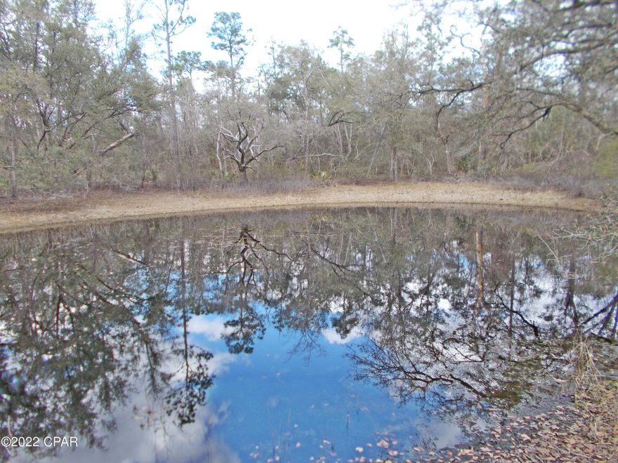 Large 3.3 ac parcel with a spring fed  pond on a paved road in Compass Lake in the Hills, very rare find, build your dream home.

MLS numbers 722493,722492,722491 join this making a nice 4 5 or 6+ ac parcel.