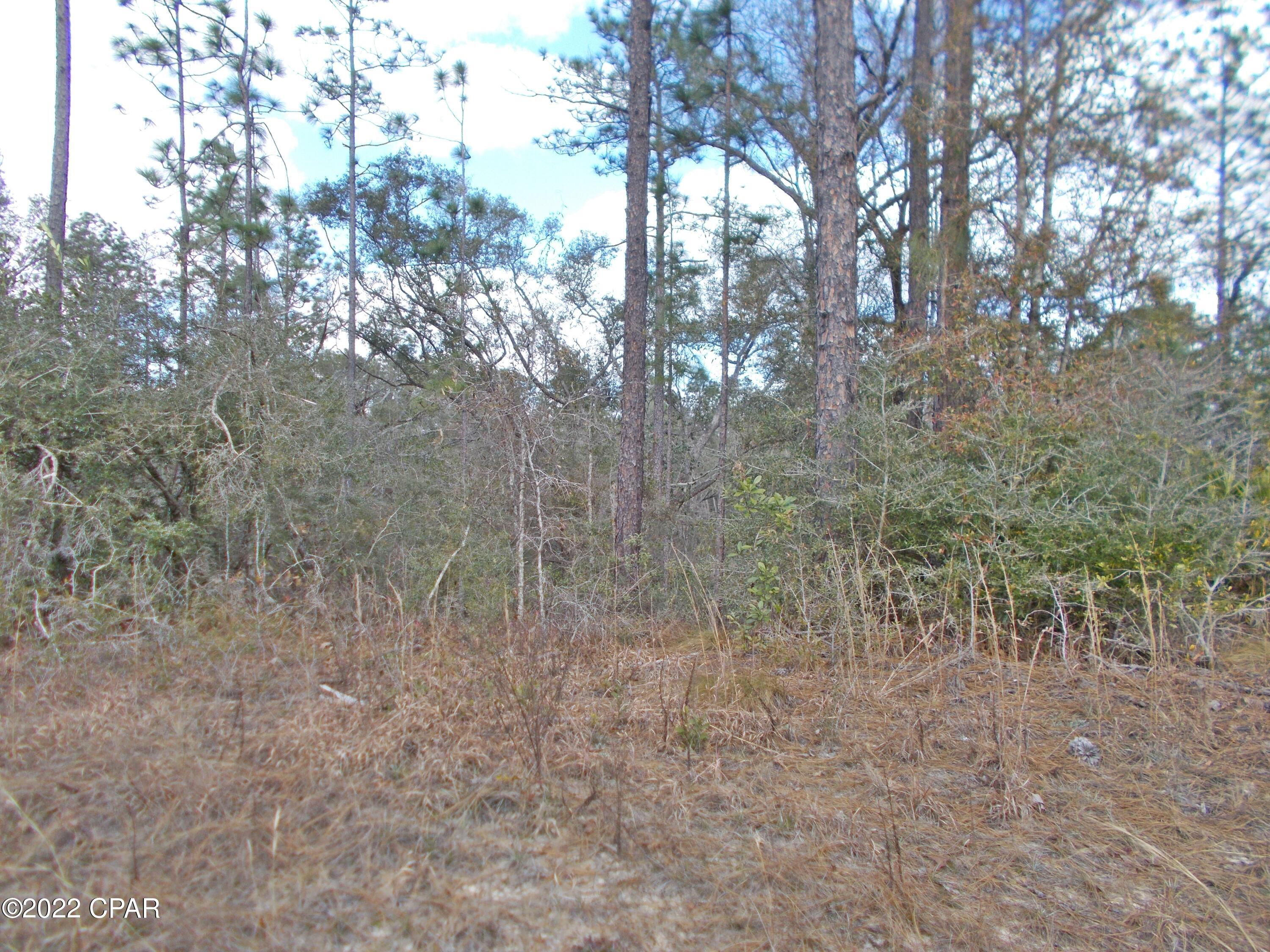 Compass Lake Hills Unit 3 - Land