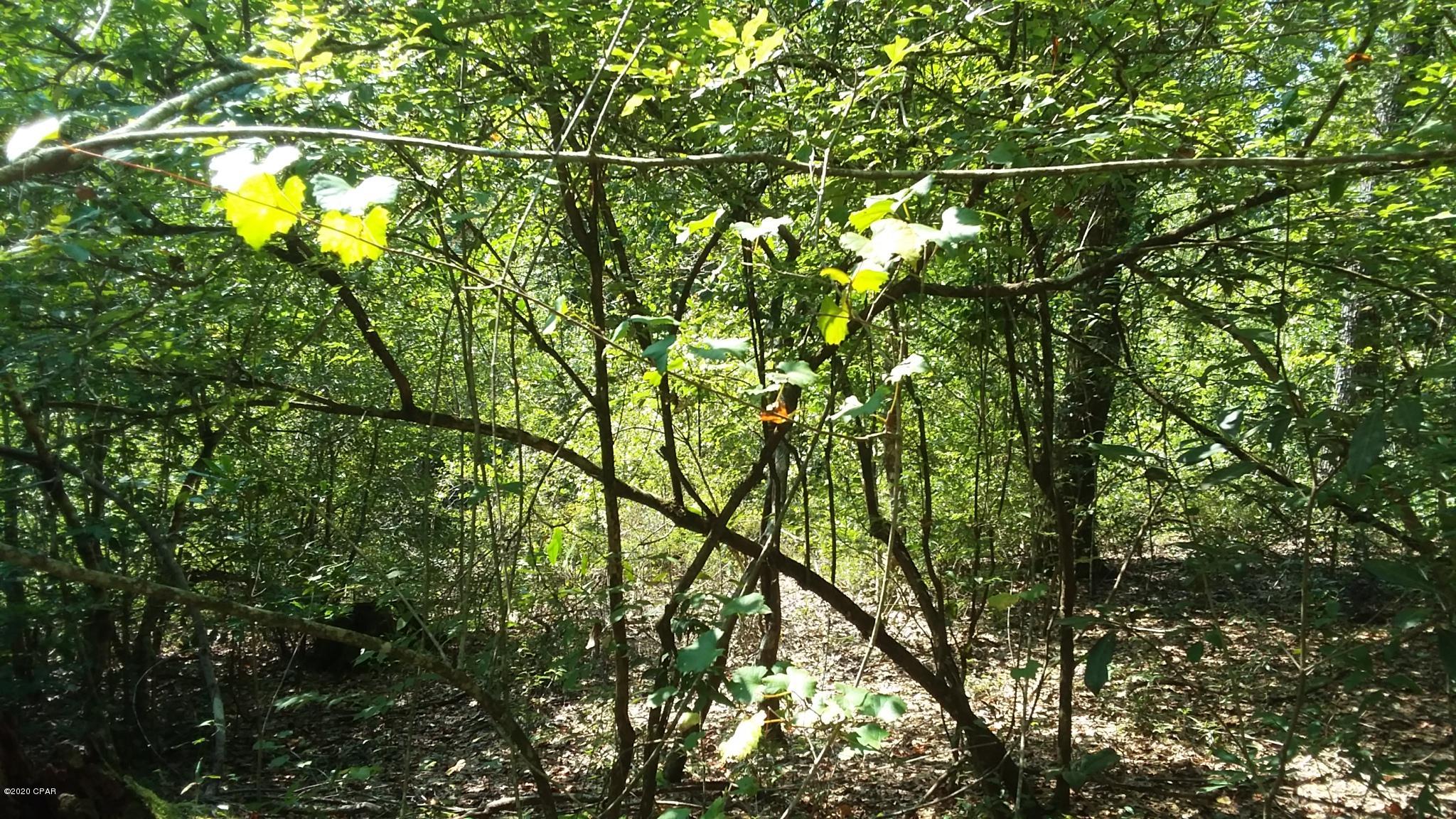 [No Recorded Subdiv] - Land