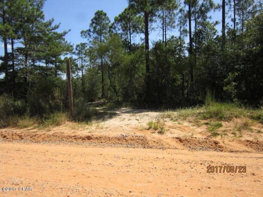 Vacant Residential land, wooded, high and dry, sandy soil, less than 1/2 mile off paved road on county maintained unpaved road, rural area, backs up to a large tract locally known as the ''Wolf Preserve''.  A few marketable pine trees on property and other small sapling type pines.  Also some hardwood trees, with 4 wheeler roads thru property.