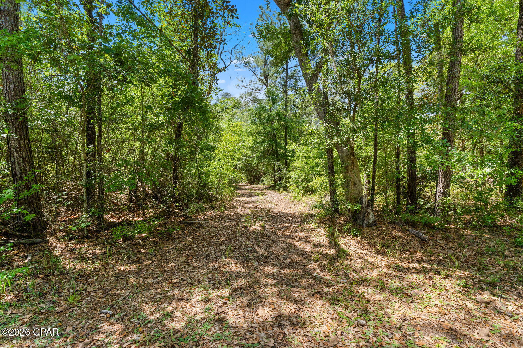 Paradise Lakes - Land