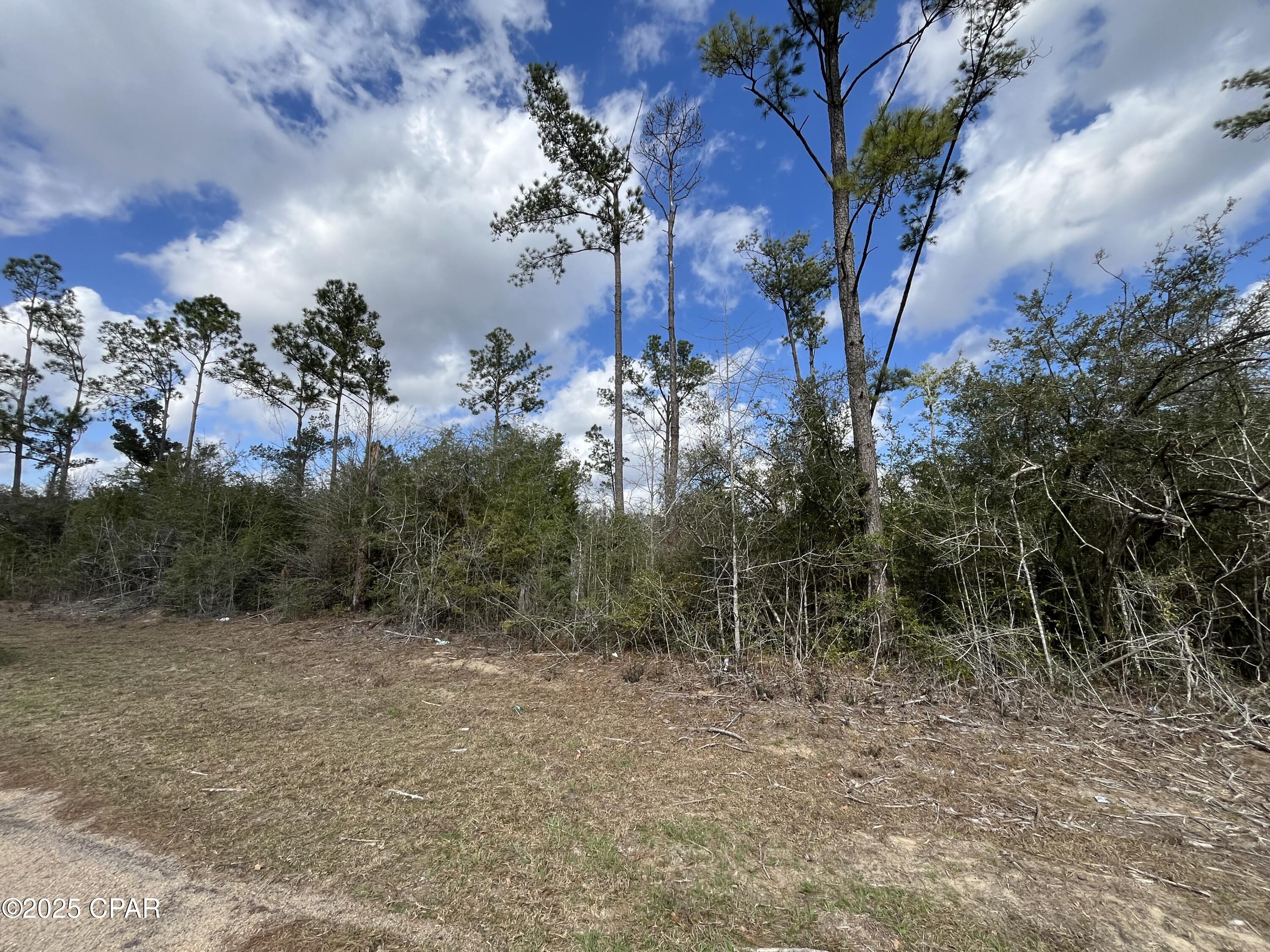 Compass Lake Hills Unit 5 - Land