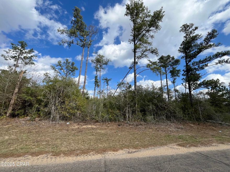 What a great location of a paved road, this lot is ready to be cleared and set up to build your dream home or bring in a manufactured home. It is a short drive to 231 and to the public boat ramp. Compass Lake in the Hills is a deed restricted subdivision located off of Highway 231 in Jackson County. A recent ordinance change of the restrictions allows for manufactured homes in the subdivision, opening up the possibilities beyond just building. For HOA members, the community features disk golf, a driving range, swimming pool, camping, waterfront restaurants, and multiple freshwater lakes, with the best one being Compass Lake. Compass Lake is a gorgeous spring-fed lake that is loved for boating, fishing, and water-skiing. On McCormick Lake there are two beach areas with water toys, a clubhouse, and two covered pavilions available for rent. McCormick Lake is an exclusive facility only available to members and their guests. There are fishing boats, fun yaks, and a beautiful beach on a serene lake. No gasoline engines are allowed on that lake, but boats with electric motors are. Enjoy the slower pace of life this community offers while being less than an hour from Panama City Beach! Buyer to pick and pay for the title policy/title fees.