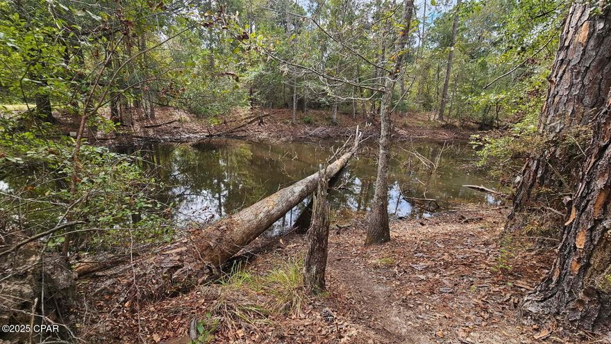 Old country home on almost 5 ac in the country, with a fish pond, this home needs cleaning out and work on it, nothing is guaranteed by the seller including the well or septic, he has never lived in it and used it for a rental. It is a very nice parcel of land  and with a lot of work could be  a nice home. There is a nice pond on the property. Drive by today and enjoy the quiet peaceful setting of the home .