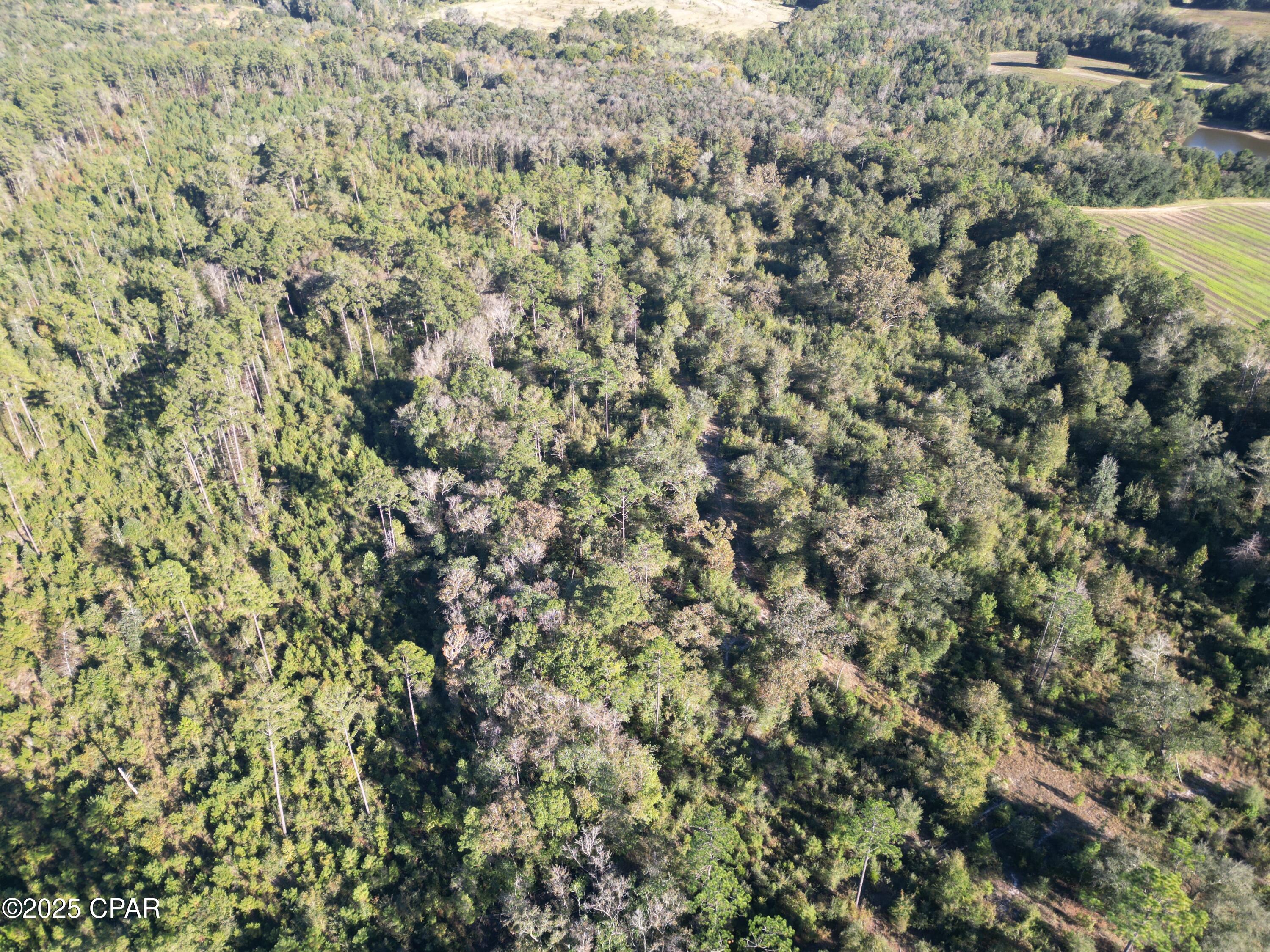 No Named Subdivision - Land