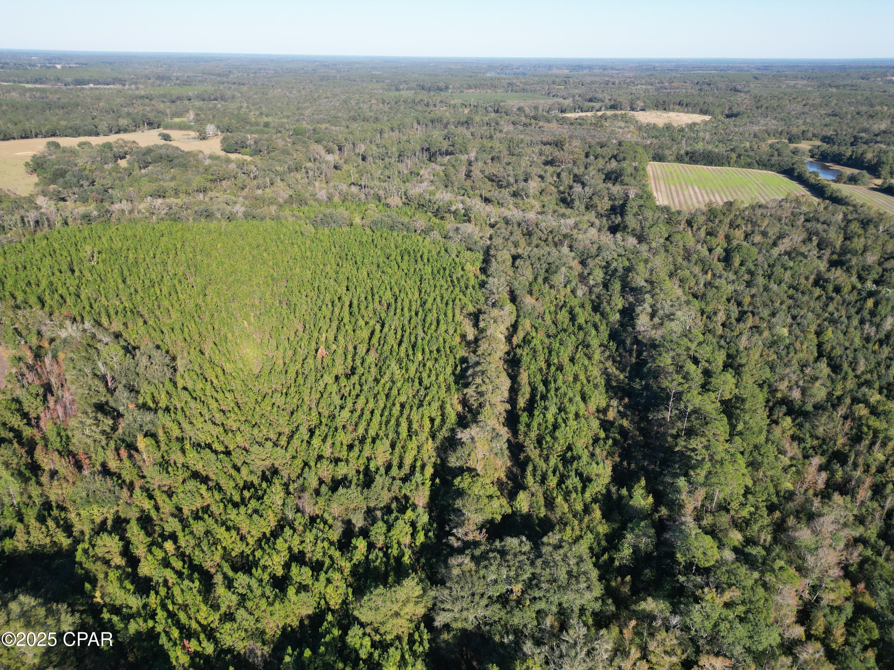 No Named Subdivision - Land