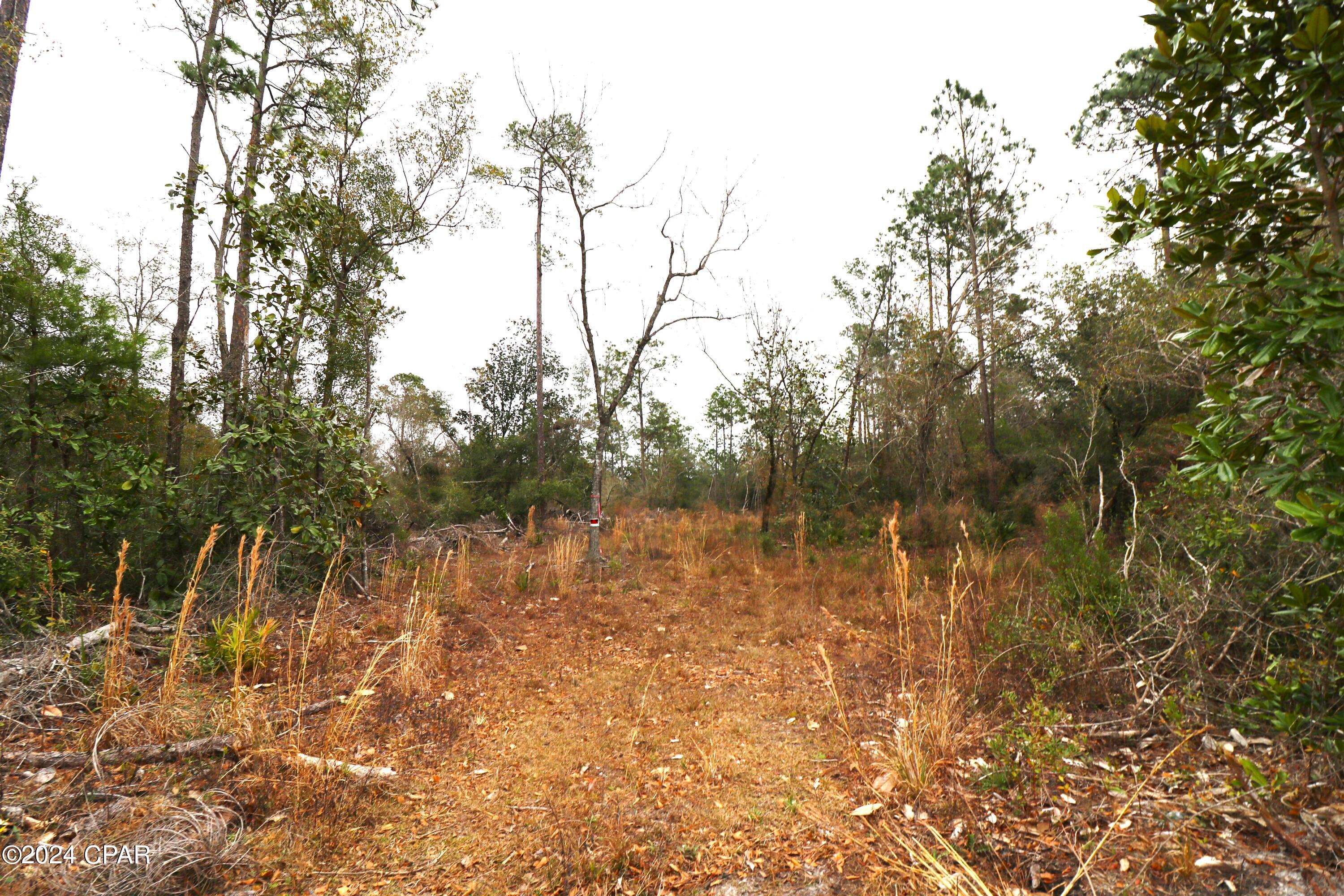 Burnt Mill Creek - Land