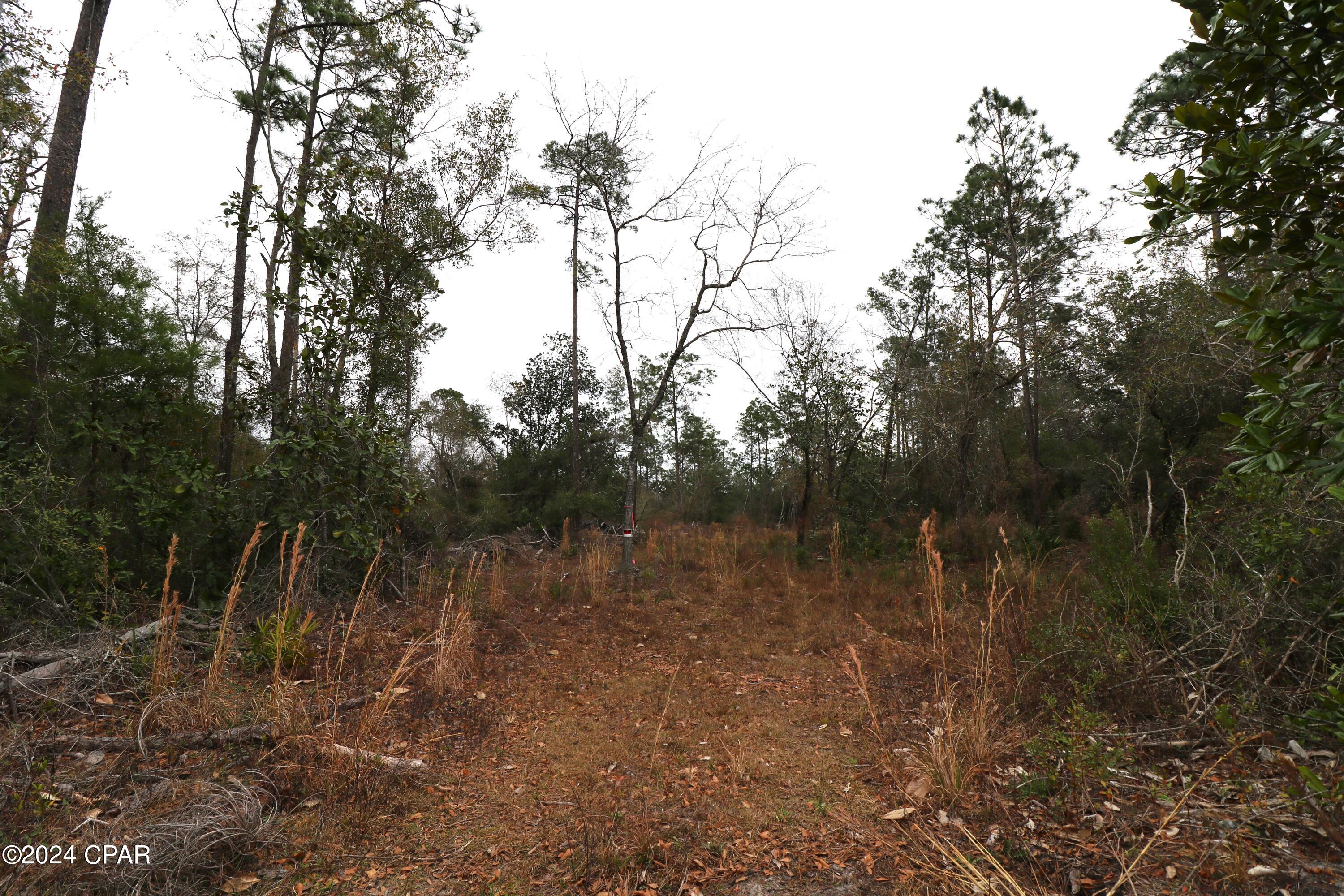 Burnt Mill Creek - Land