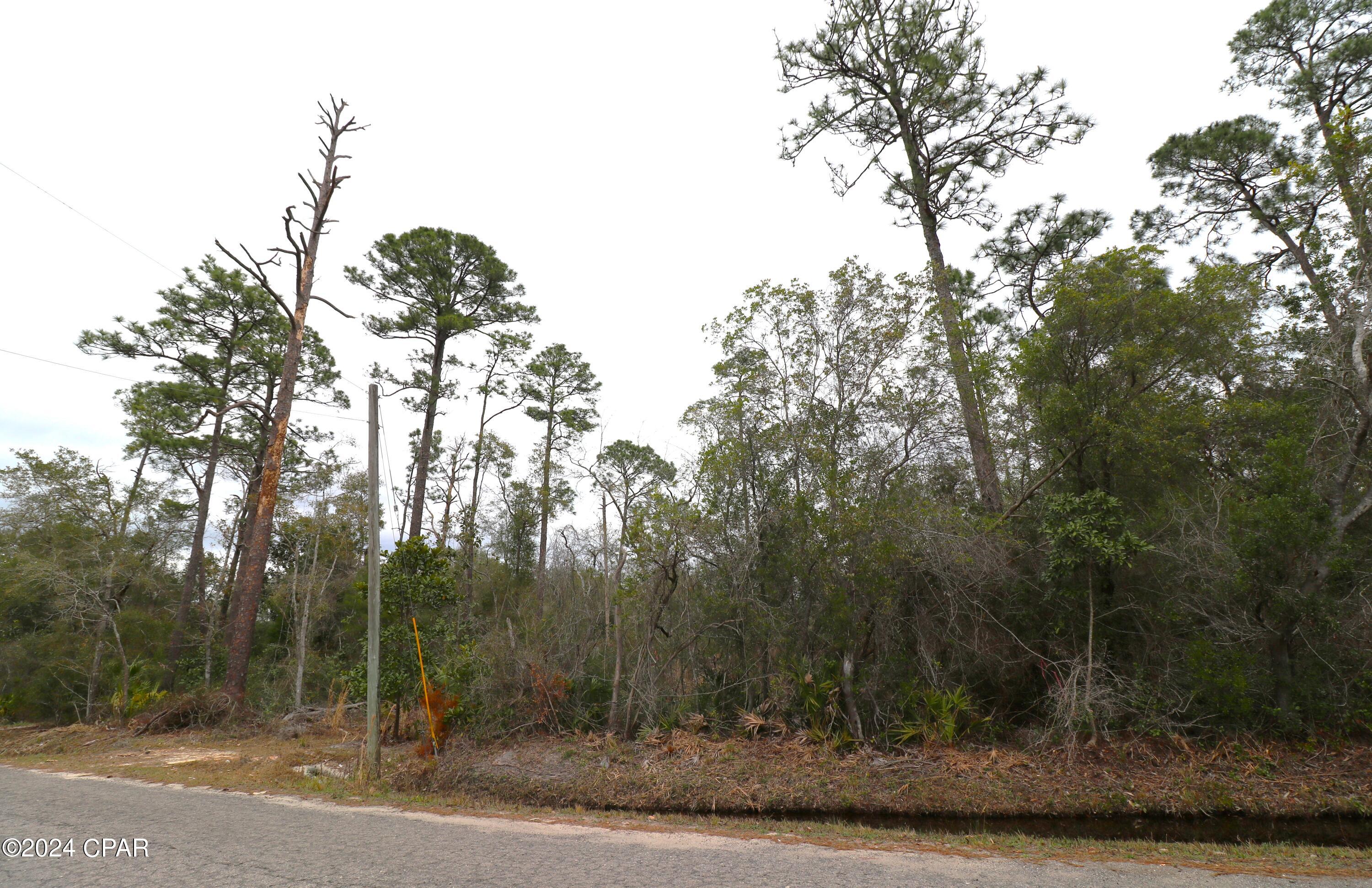 Burnt Mill Creek - Land