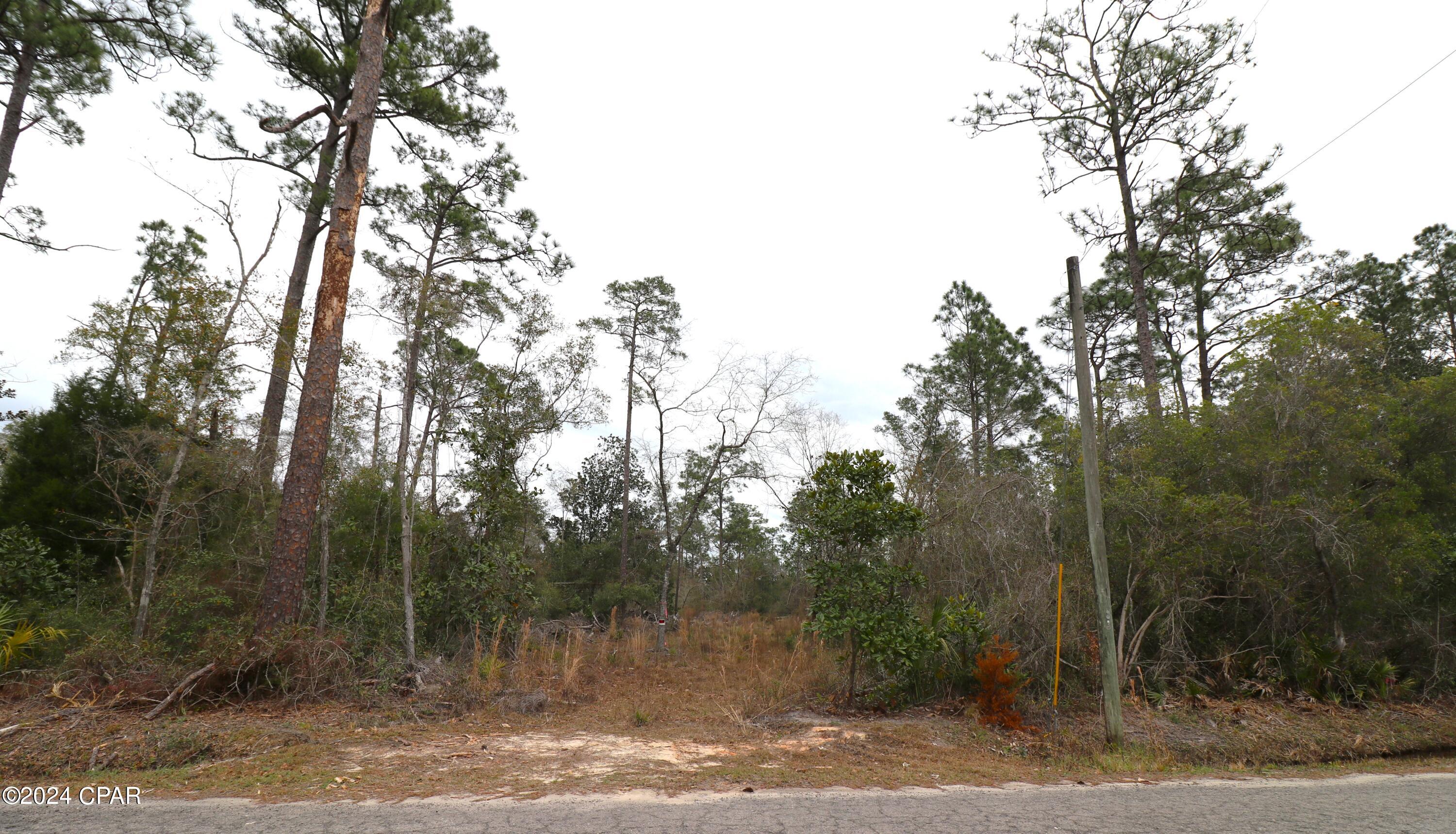 Burnt Mill Creek - Land