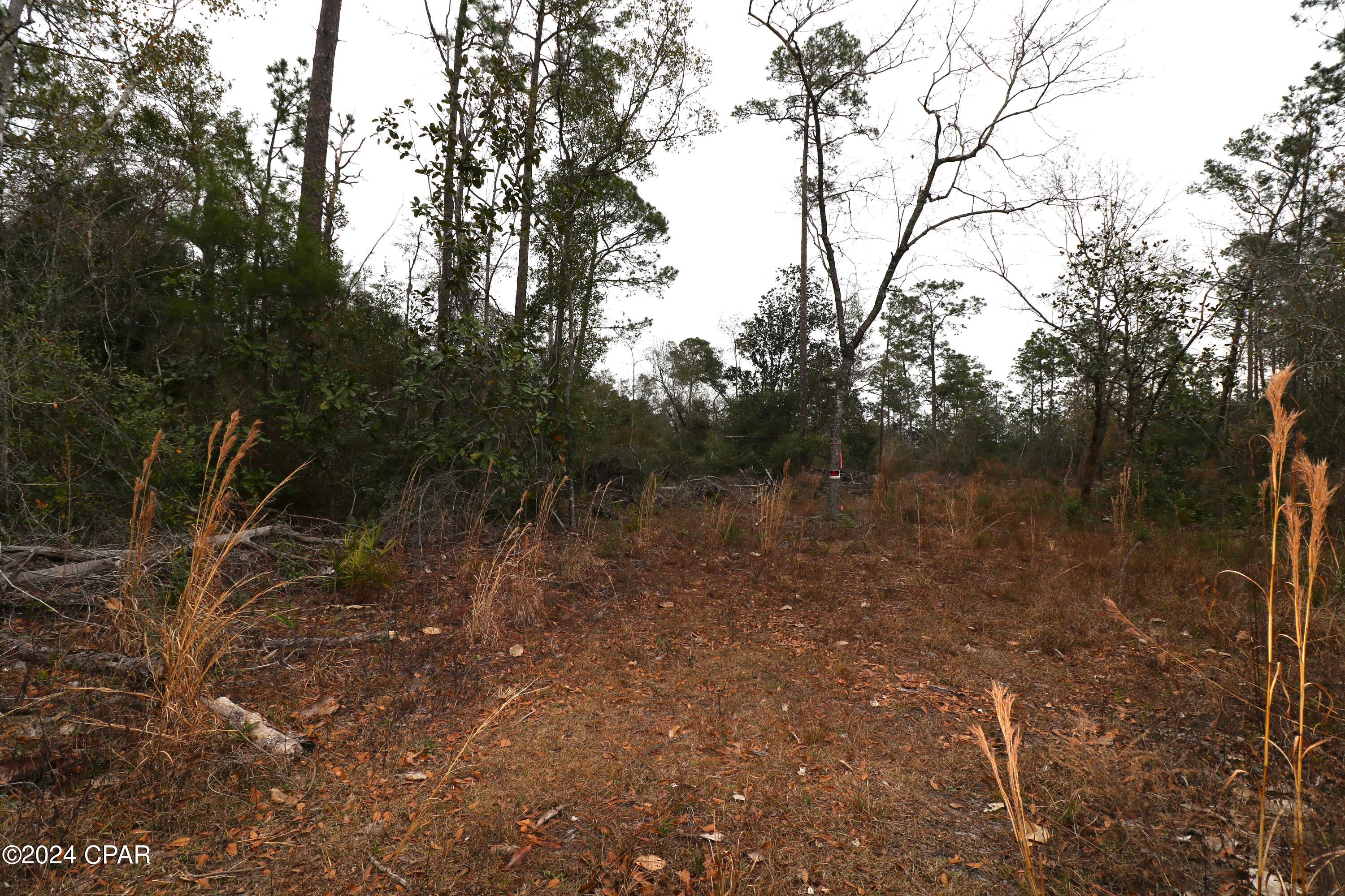 Burnt Mill Creek - Land