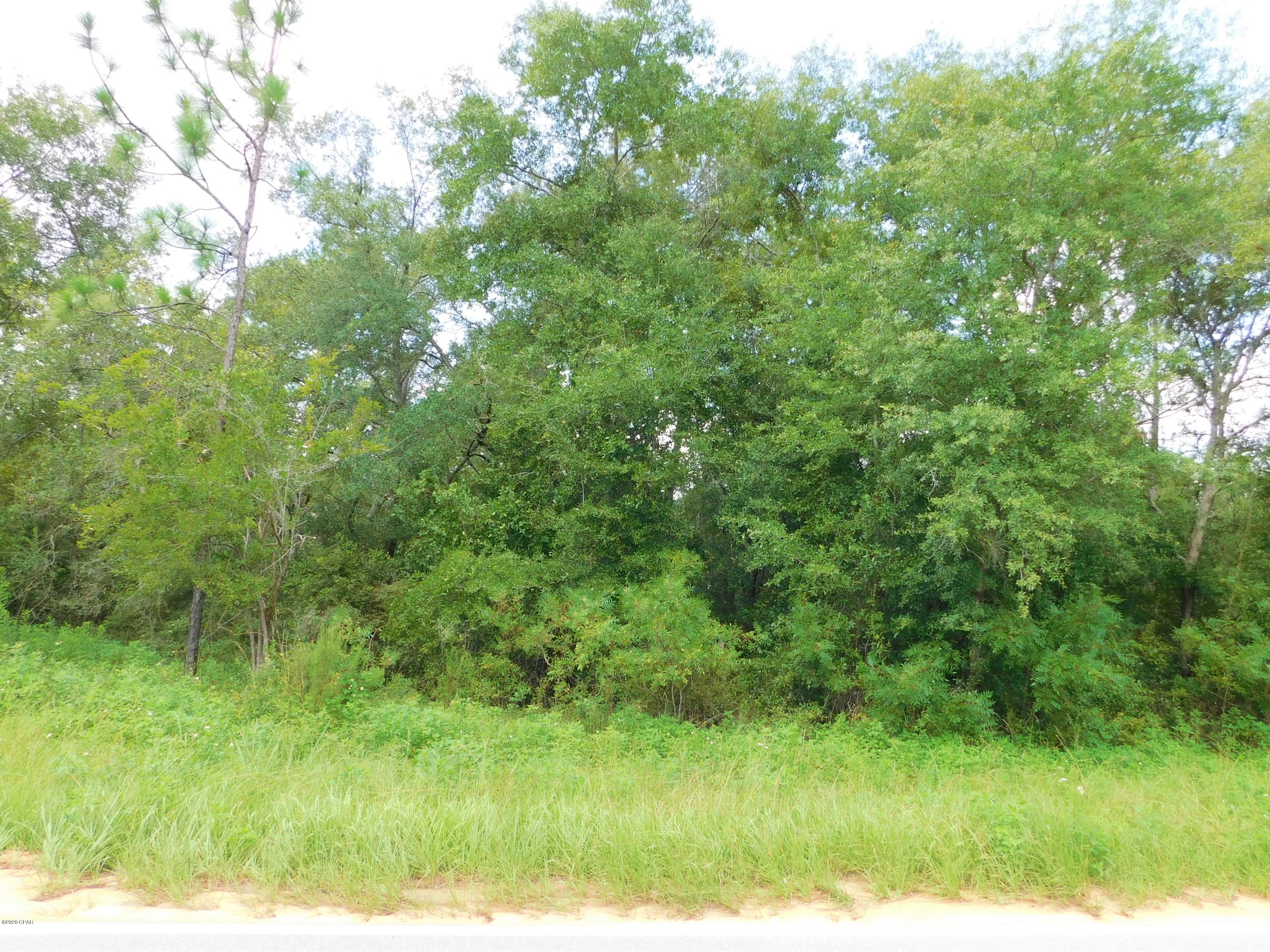 Lucas Lake Retreat - Land